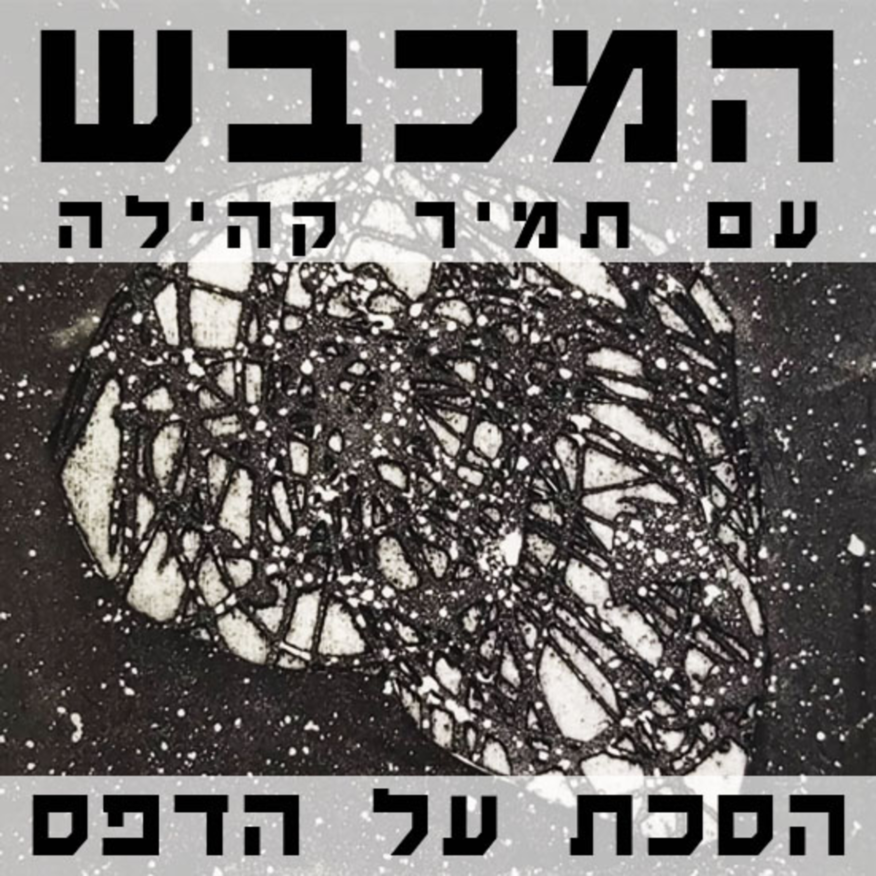 בסטודיו של מור רימר - פרק 21 episode artwork