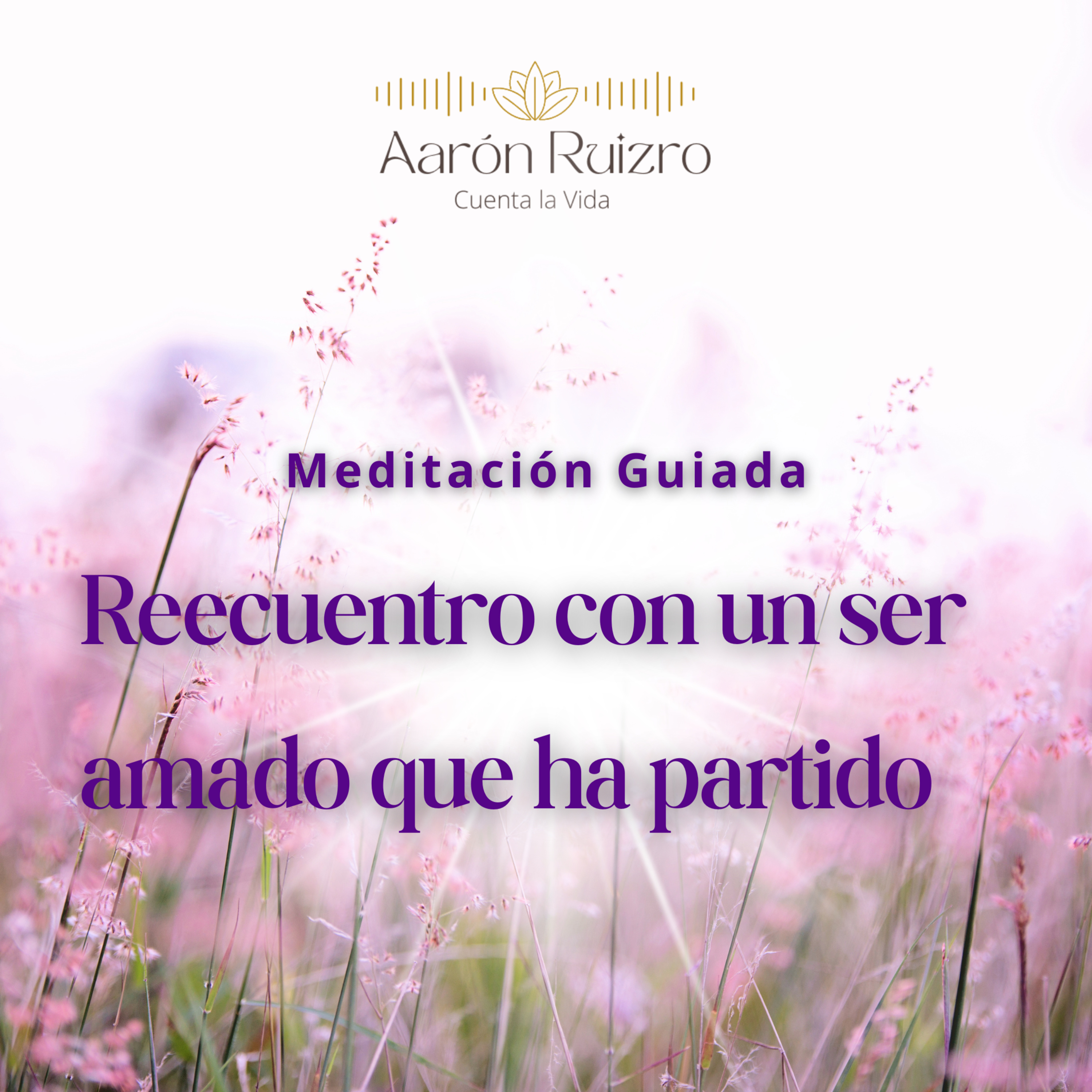 Aarón Ruiz | Proyecto ConZentido