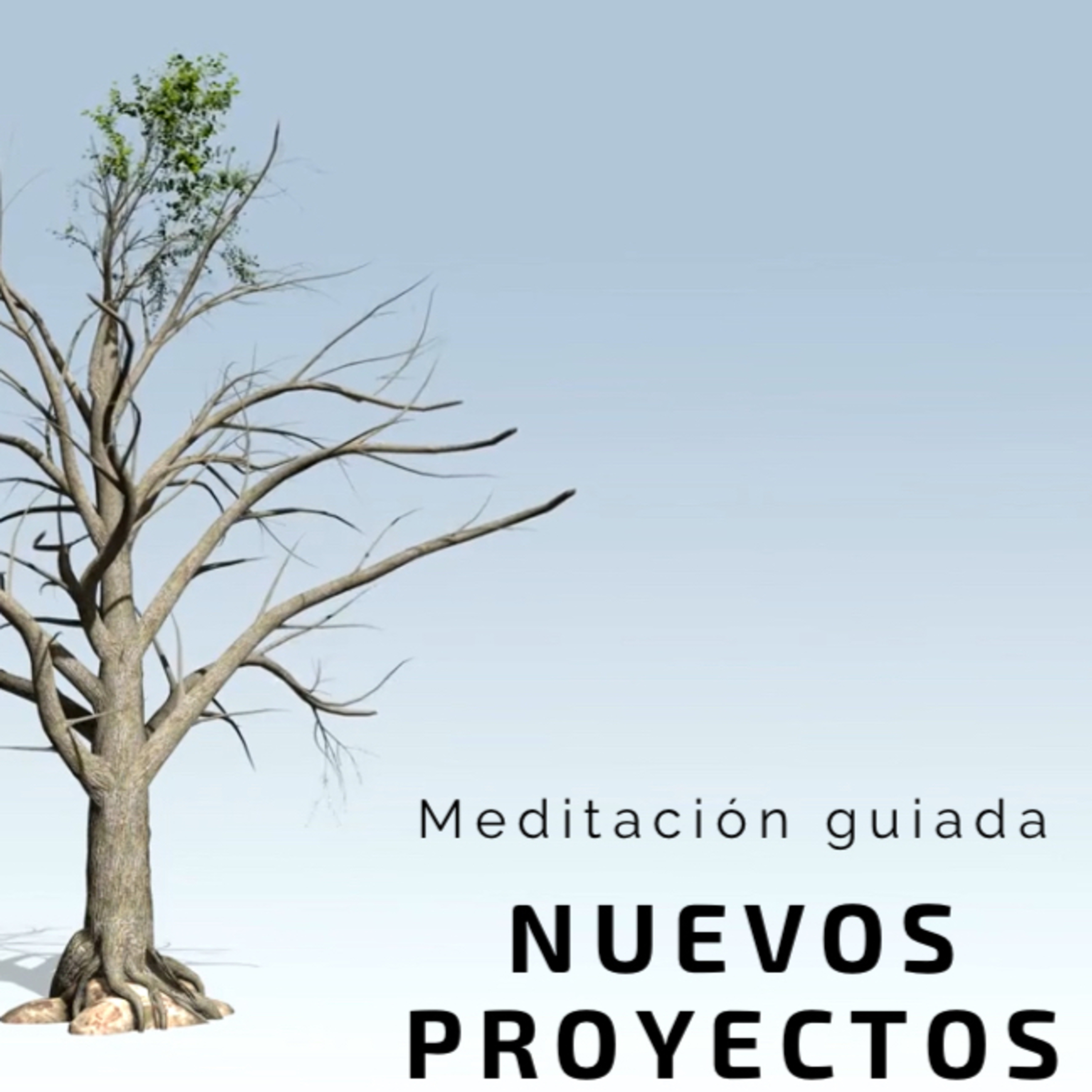 Aarón Ruiz | Proyecto ConZentido