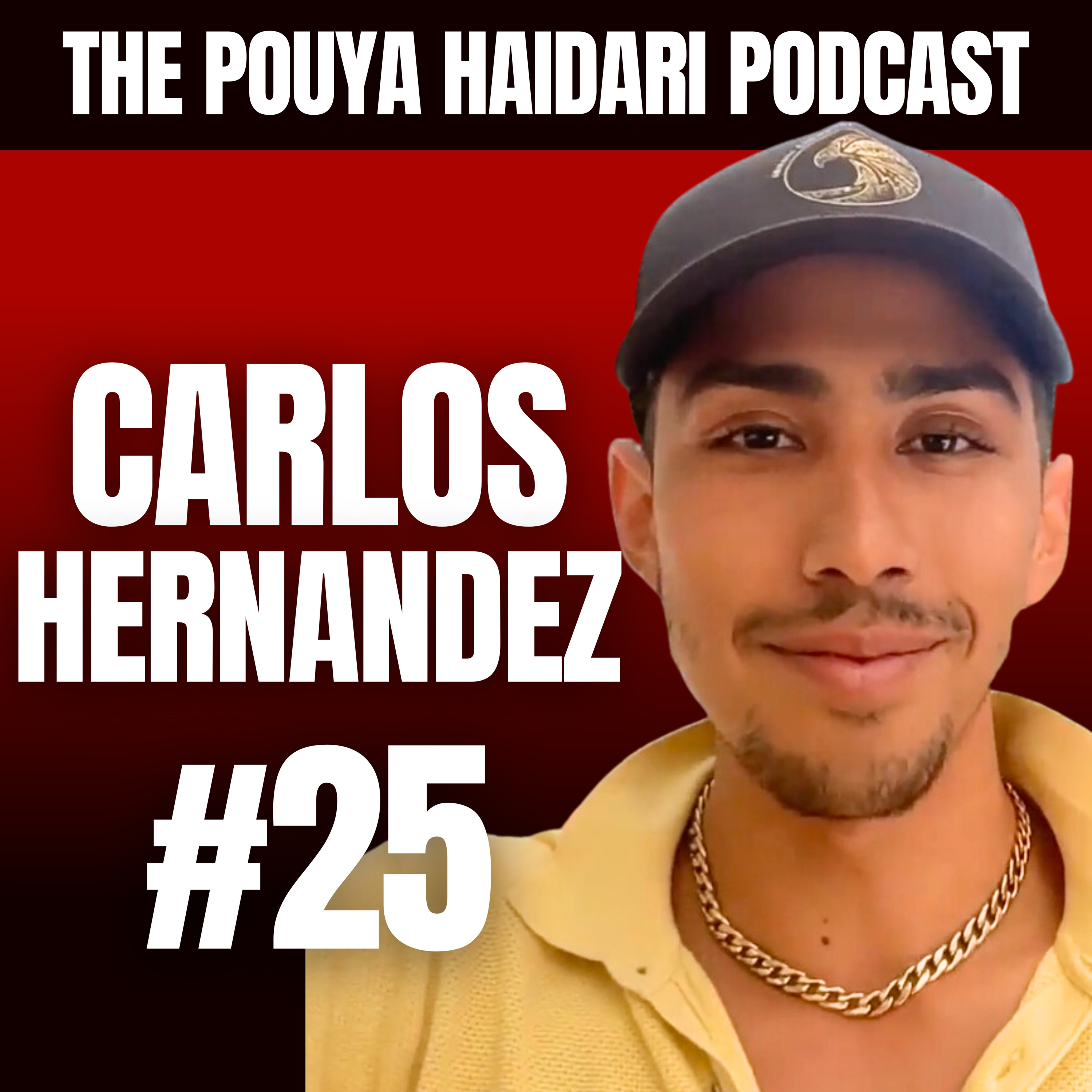 The Pouya Haidari Podcast