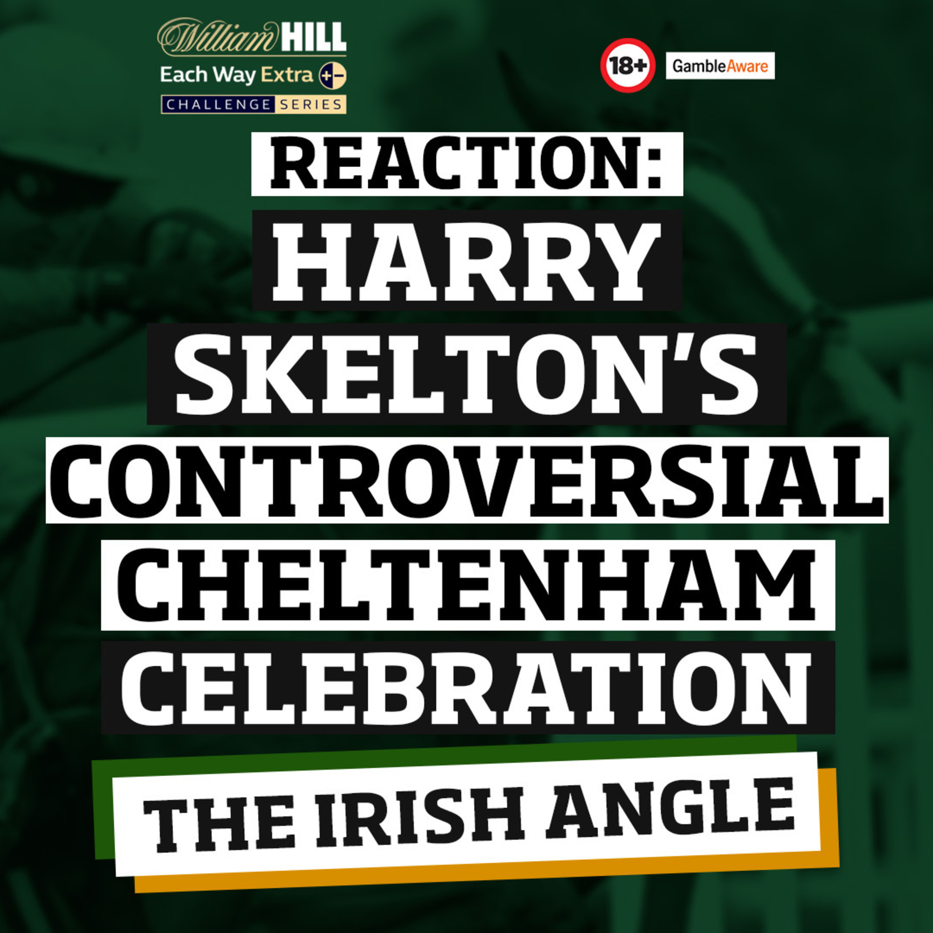 Error in identification process leads to horse running in wrong race | The Irish Angle episode artwork