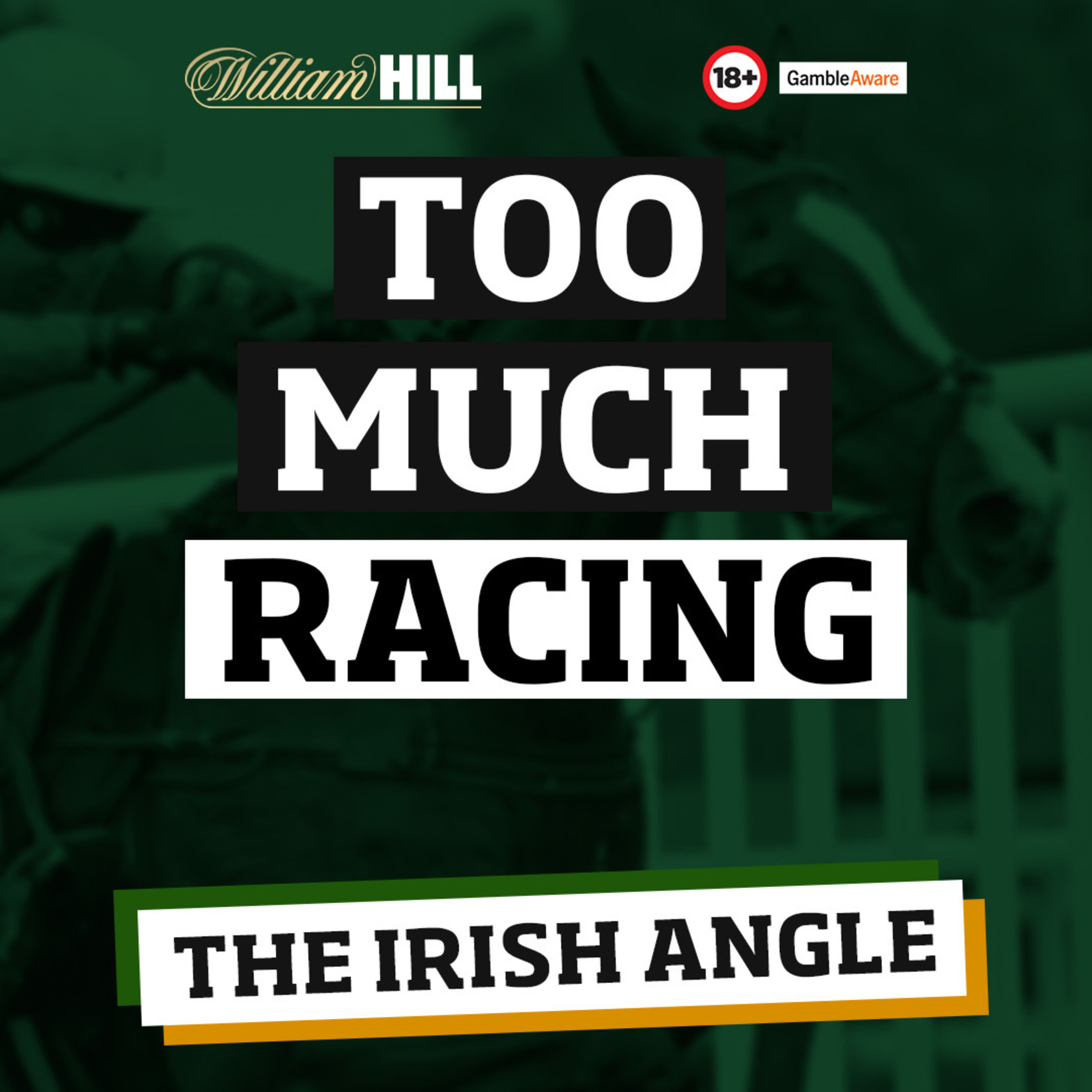 Too much hype around Constitution Hill | Irish Angle episode artwork