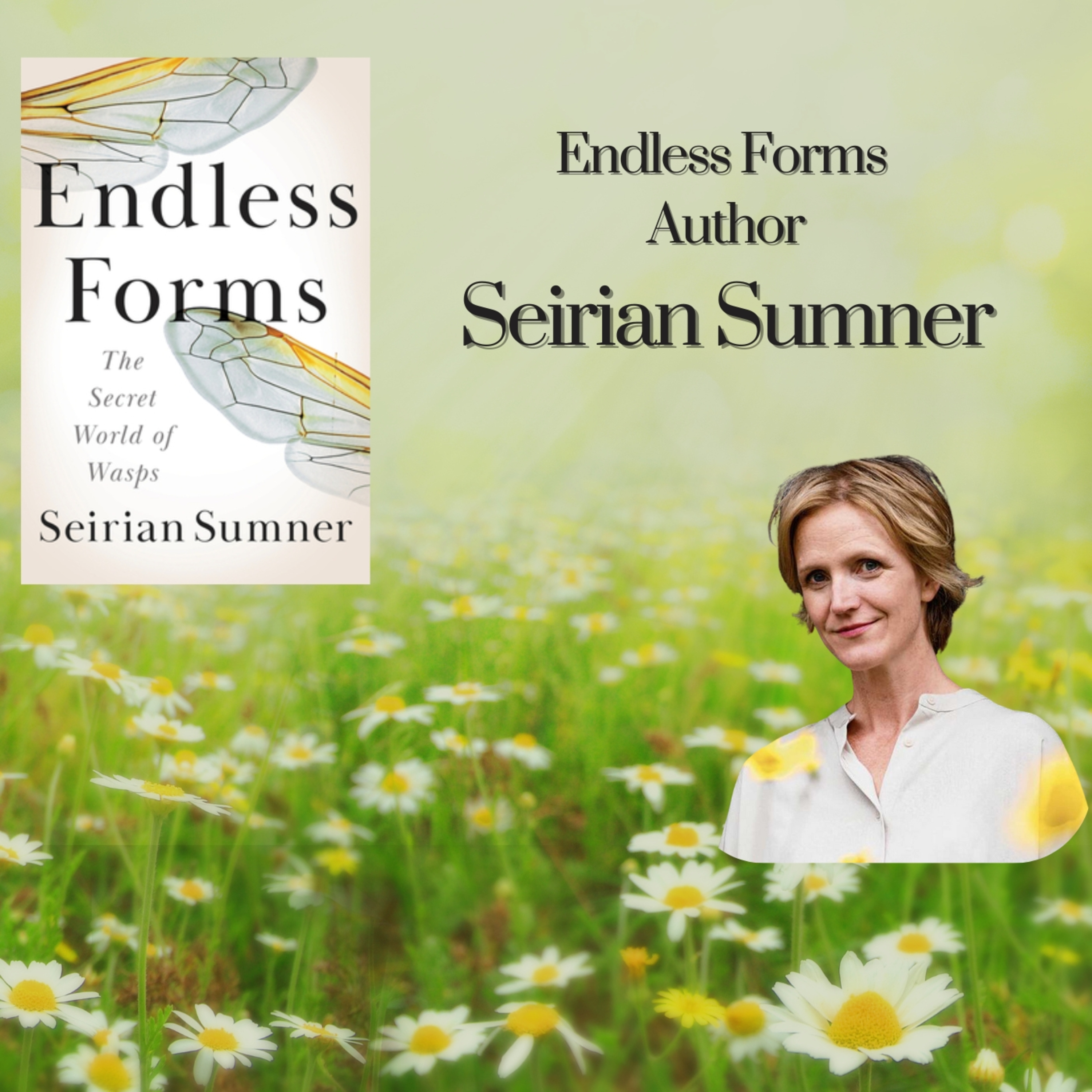 Beauties and Beasties