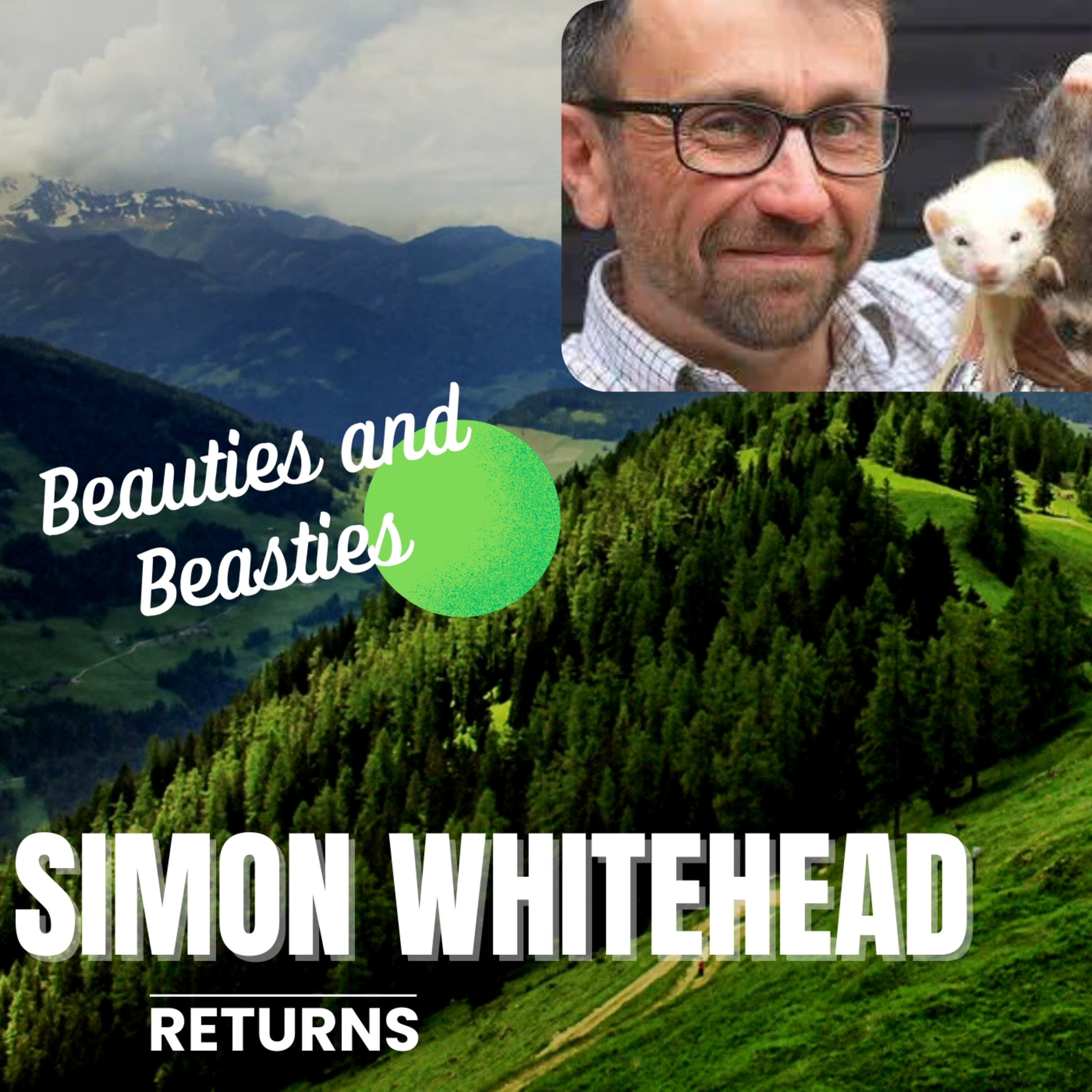 Simon Whitehead , Returns episode artwork