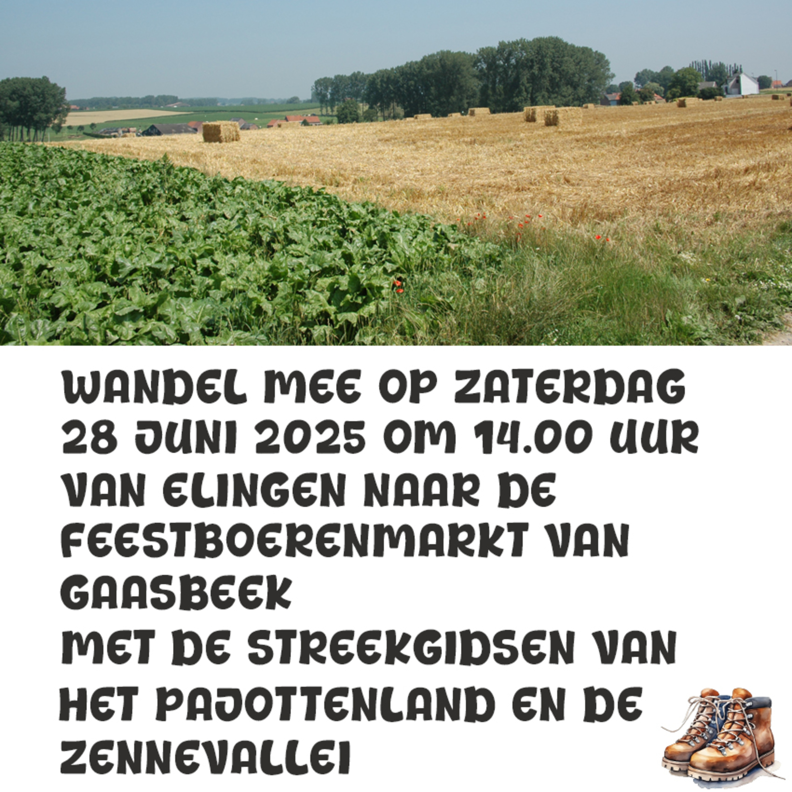 Welkom op de open wandeling van Streekgidsen Pajottenland & Zennevallei + episode artwork
