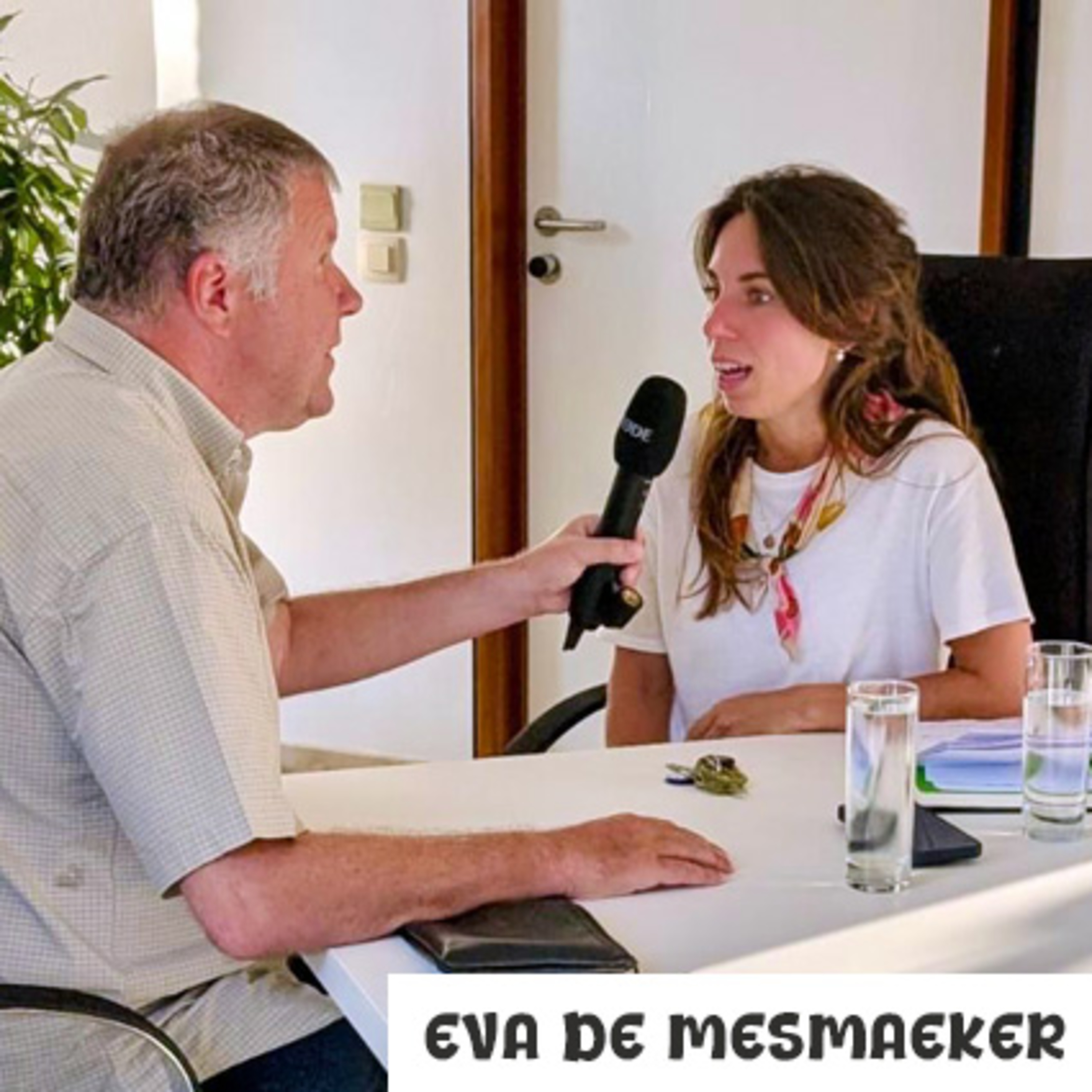 Eva Demesmaeker pakt particratie aan met wetsvoorstel episode artwork