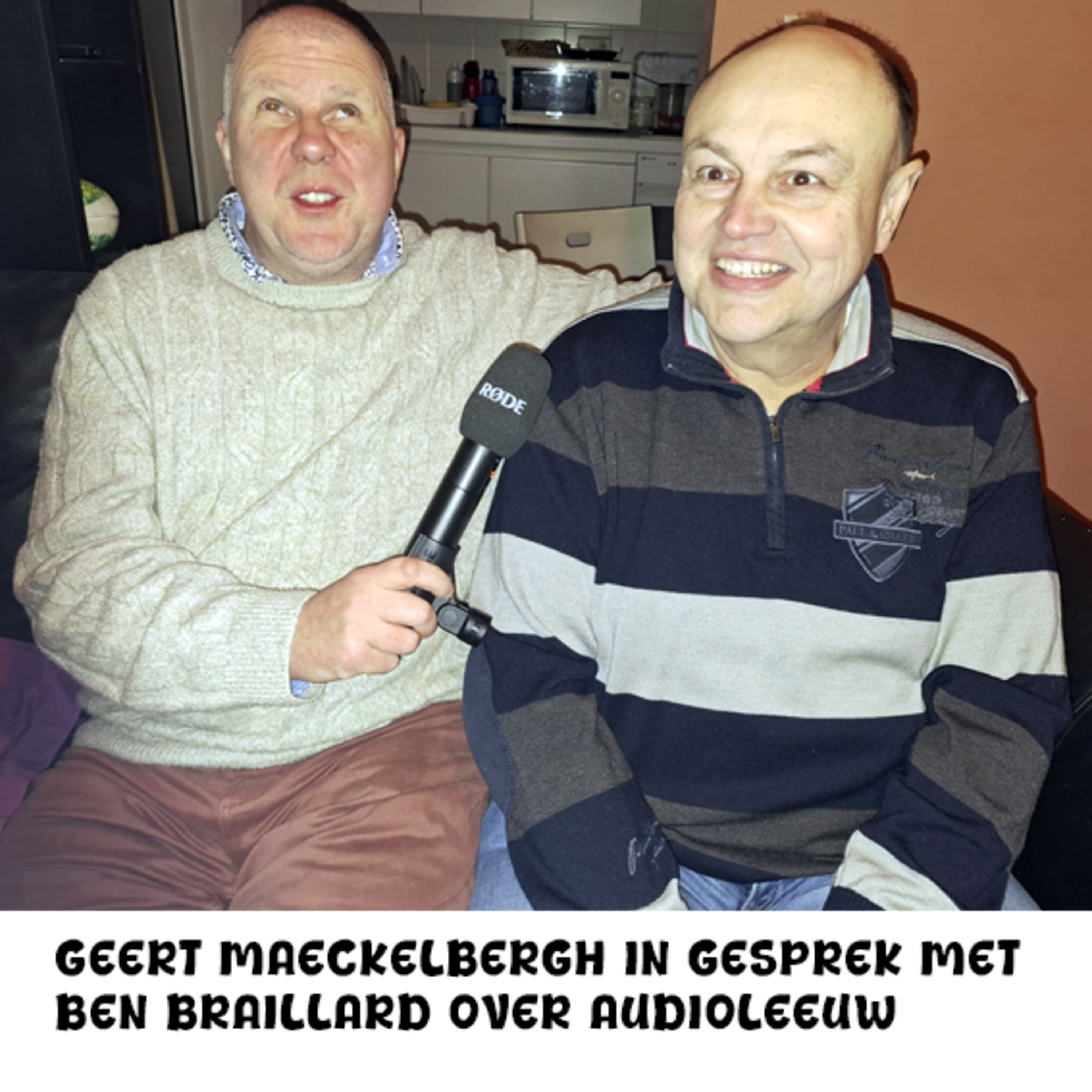 InfoLeeuw krijgt audioversie episode artwork