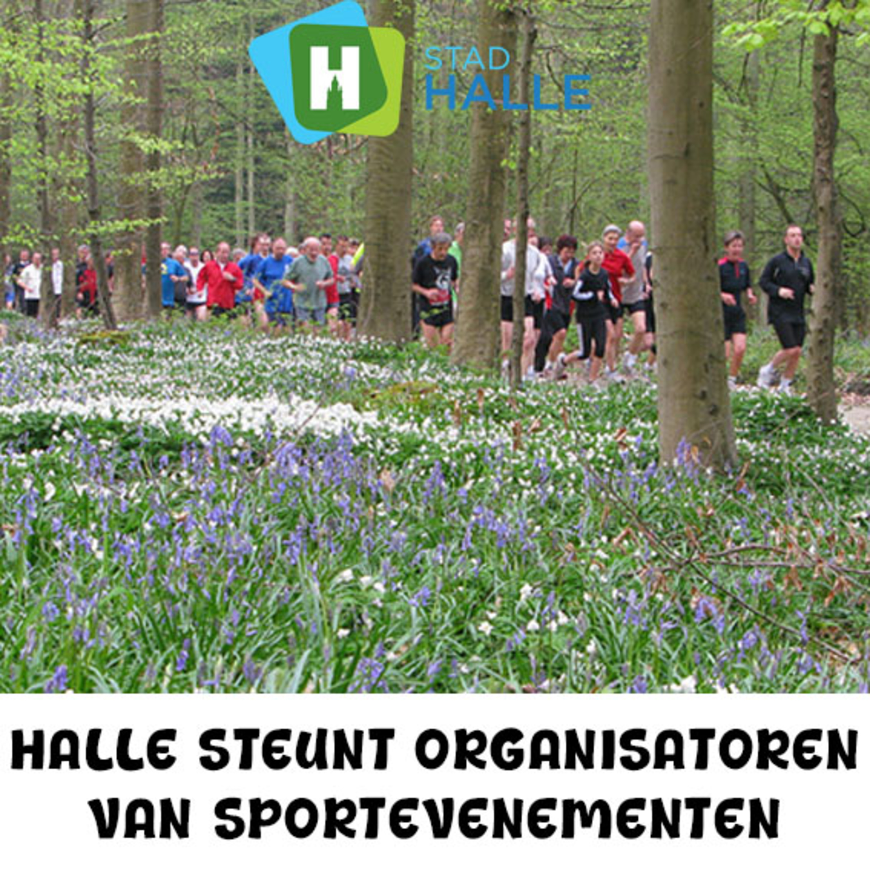 Halle gaat sportieve maanden tegemoet - Paul Poels episode artwork
