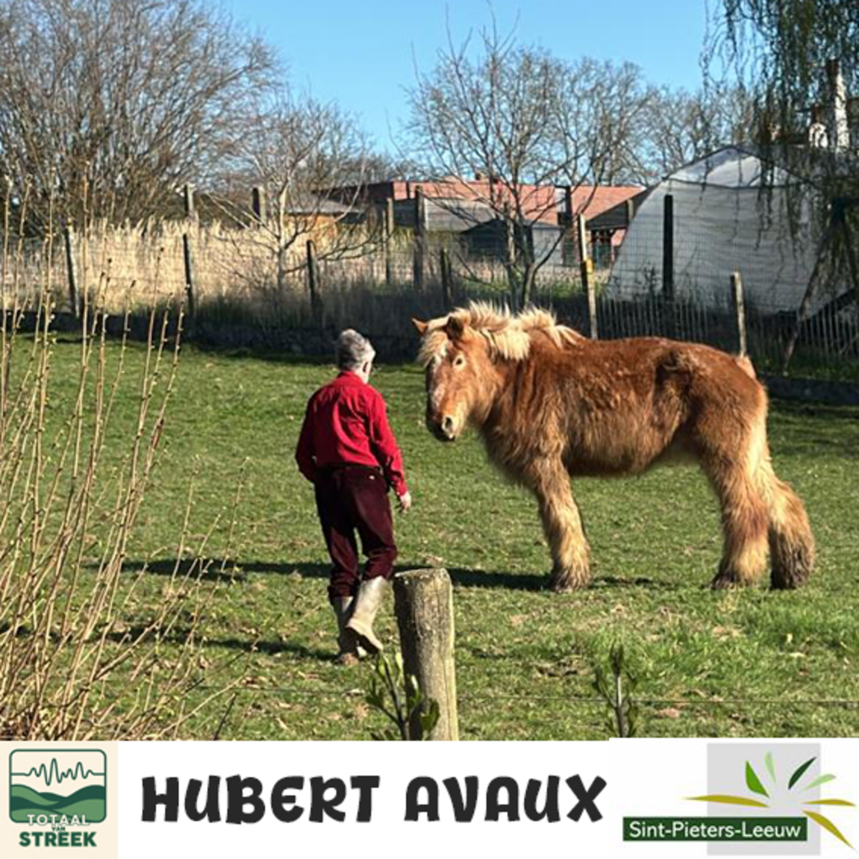 Leeuwse Cultuurprijs voor Hubert Avaux - Ben Braillard episode artwork