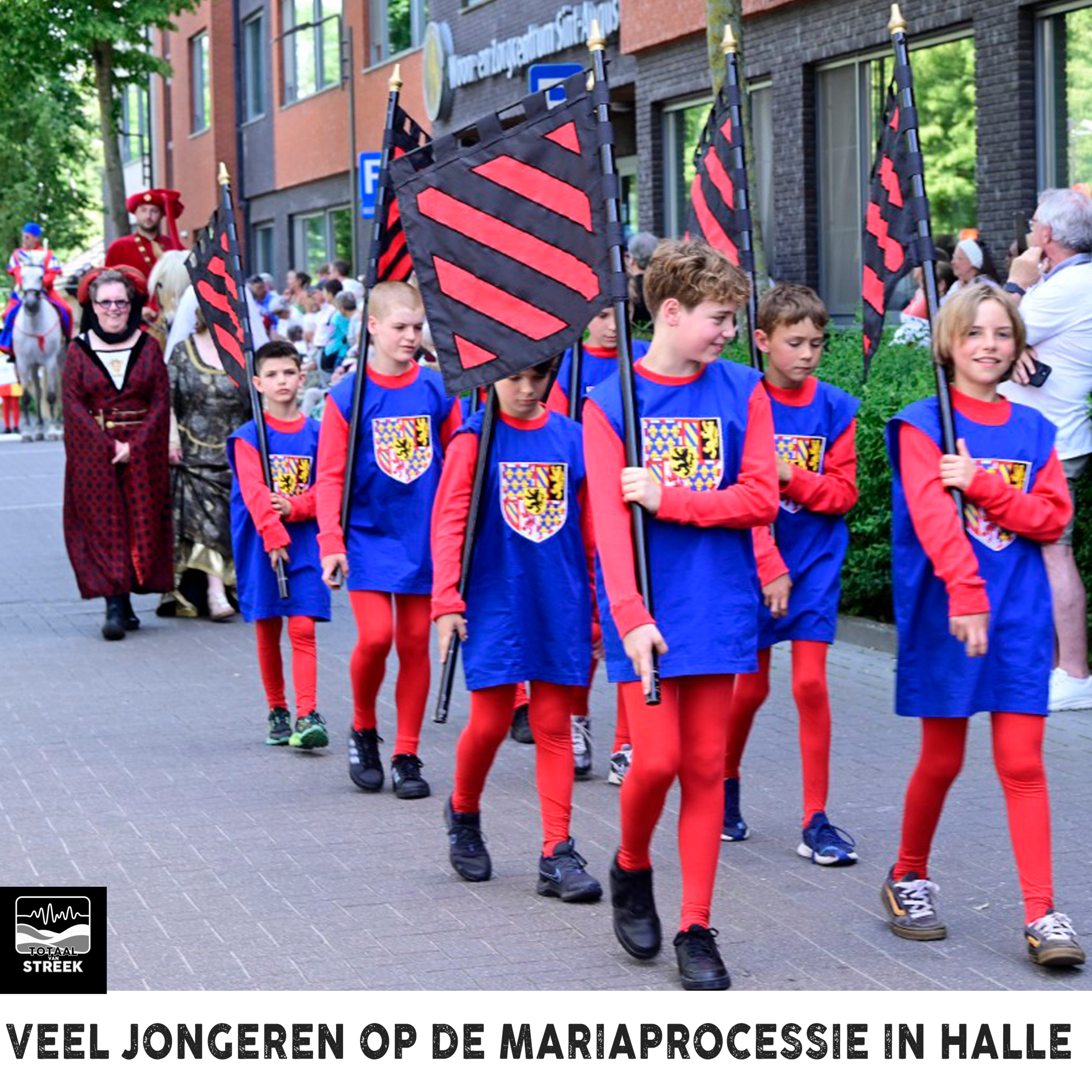 Moeder van Halle zag dat het goed was  episode artwork