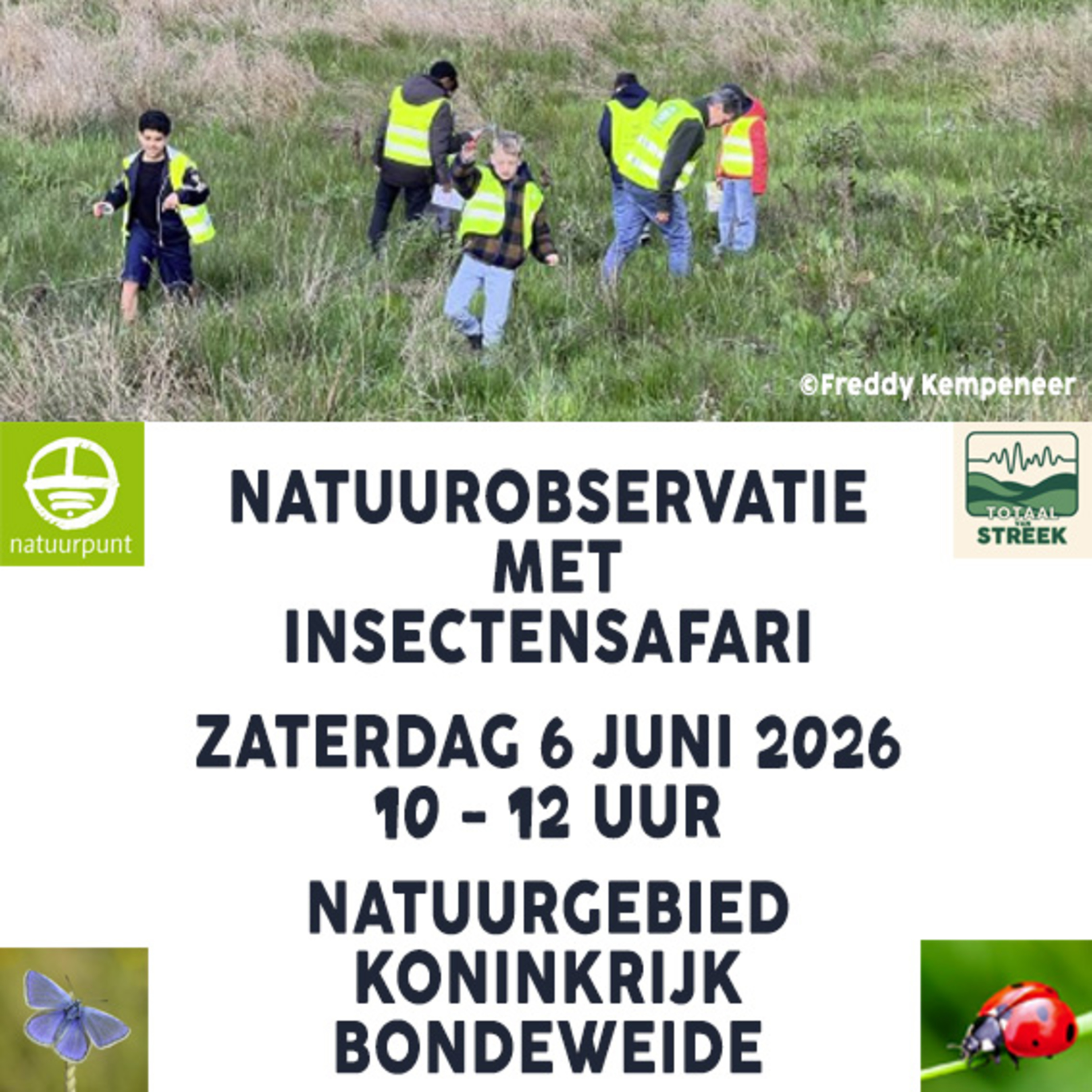 Op insectensafari met Natuurpunt Lennik episode artwork