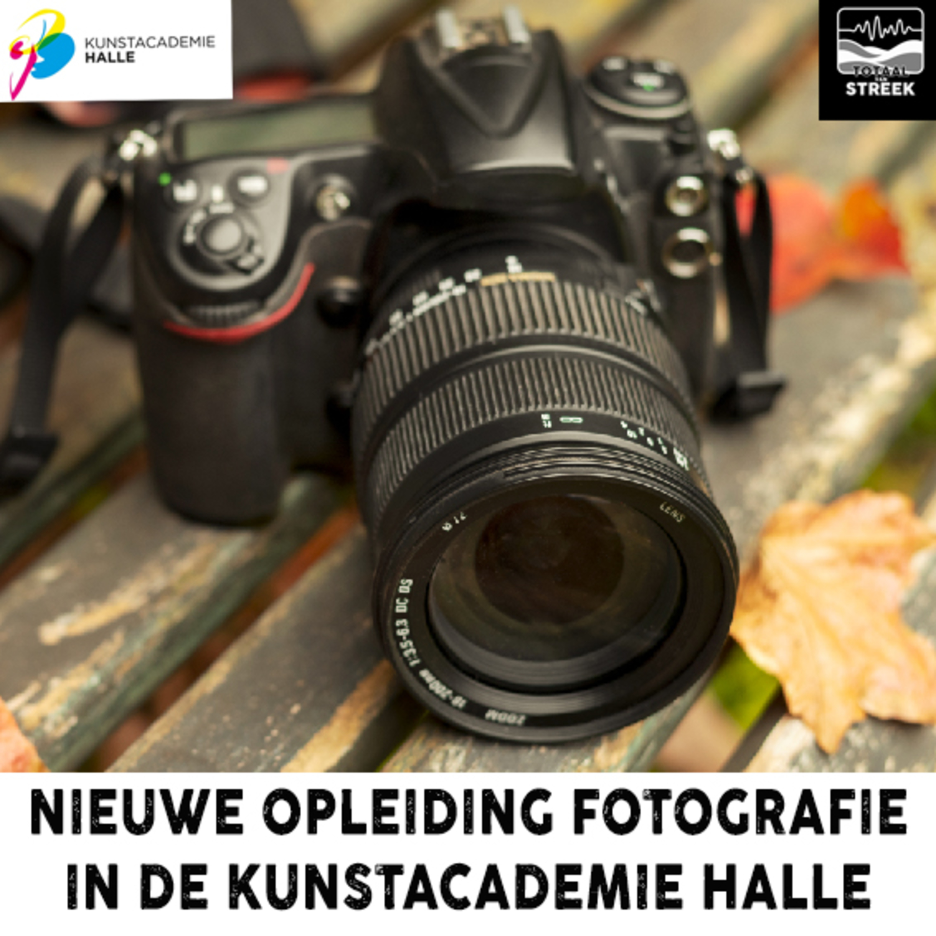 Kunstacademie Halle viert eiken jubileum en start met nieuwe opleiding - Paul Poels episode artwork