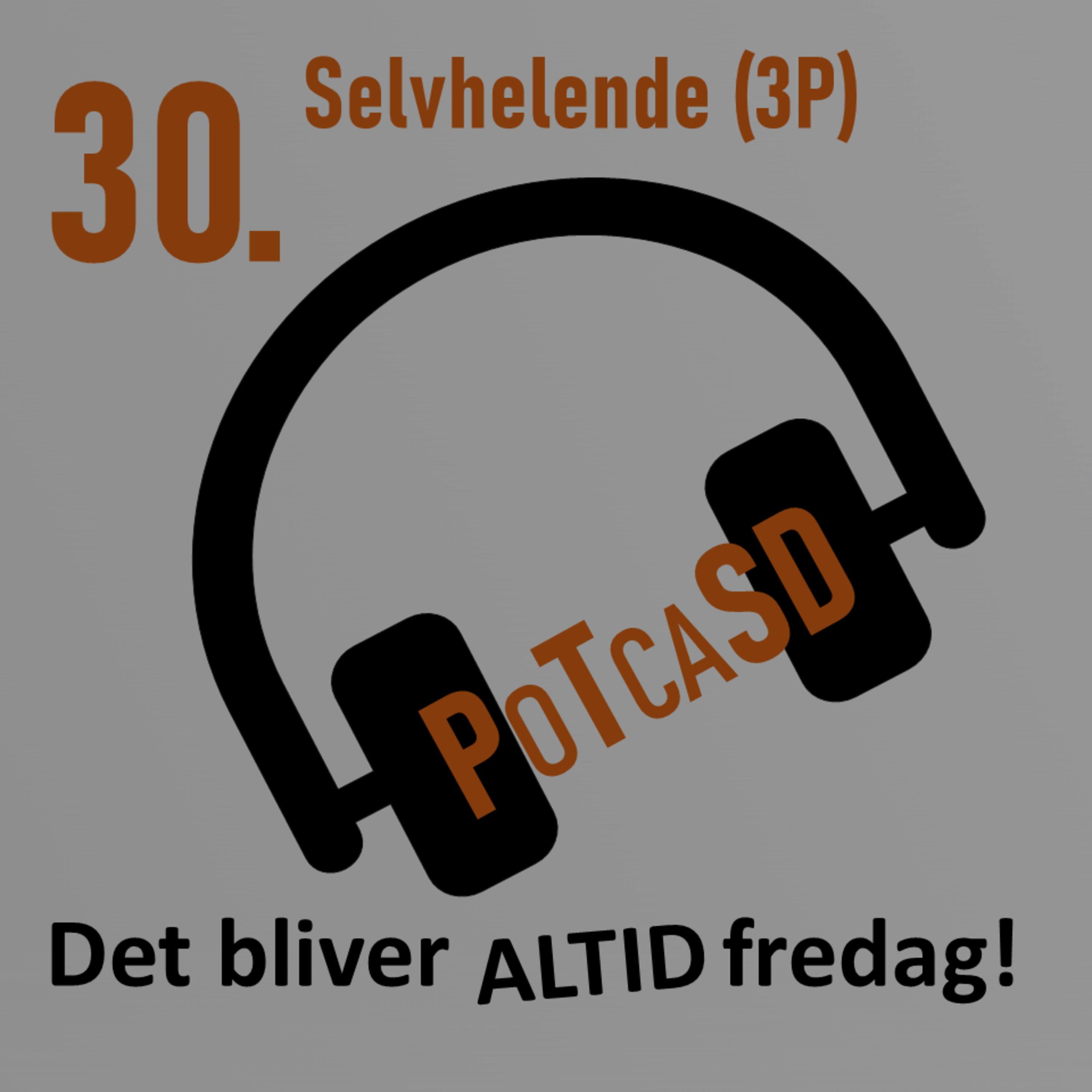 30. Selvhelende | De 3 Principper