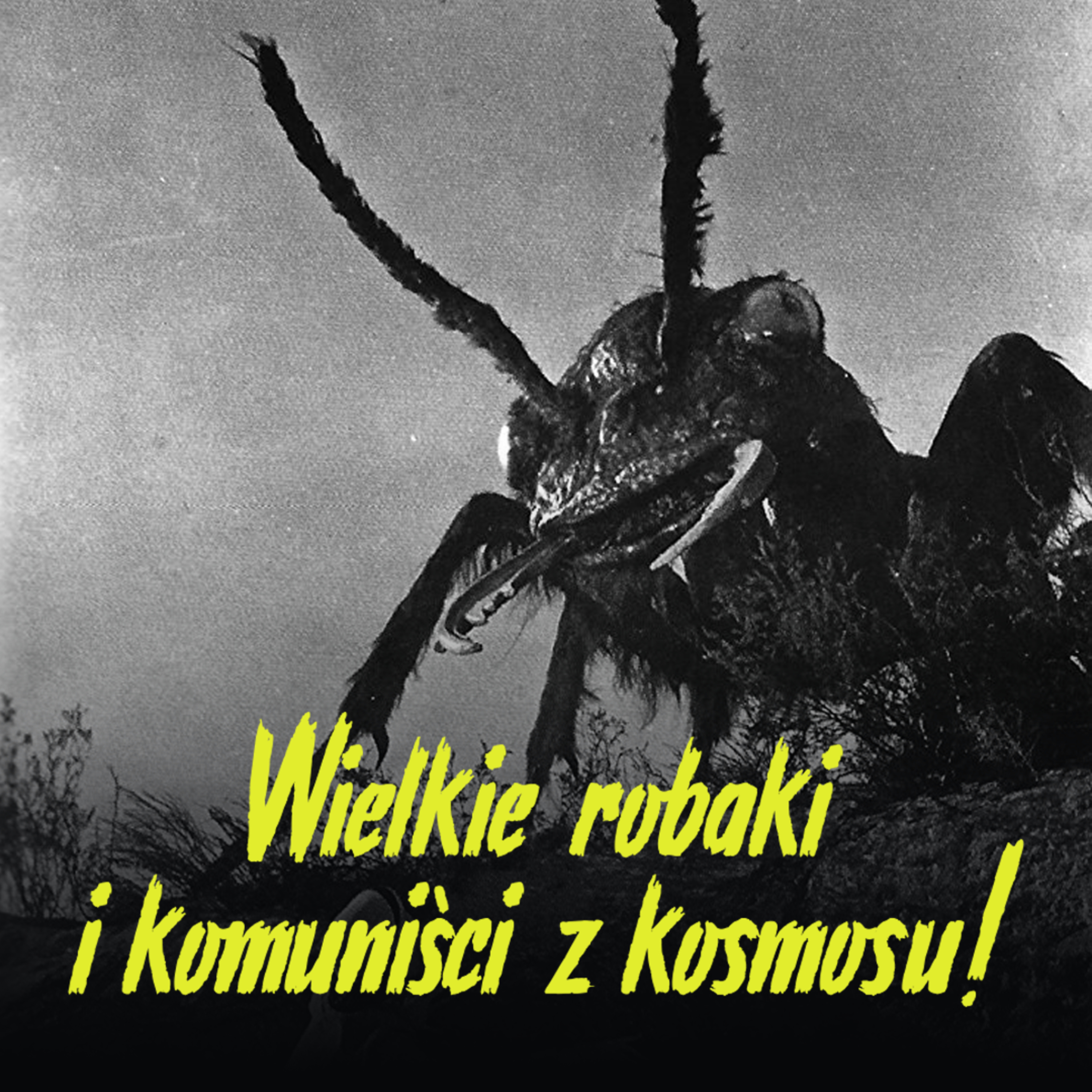 Kultura Horroru