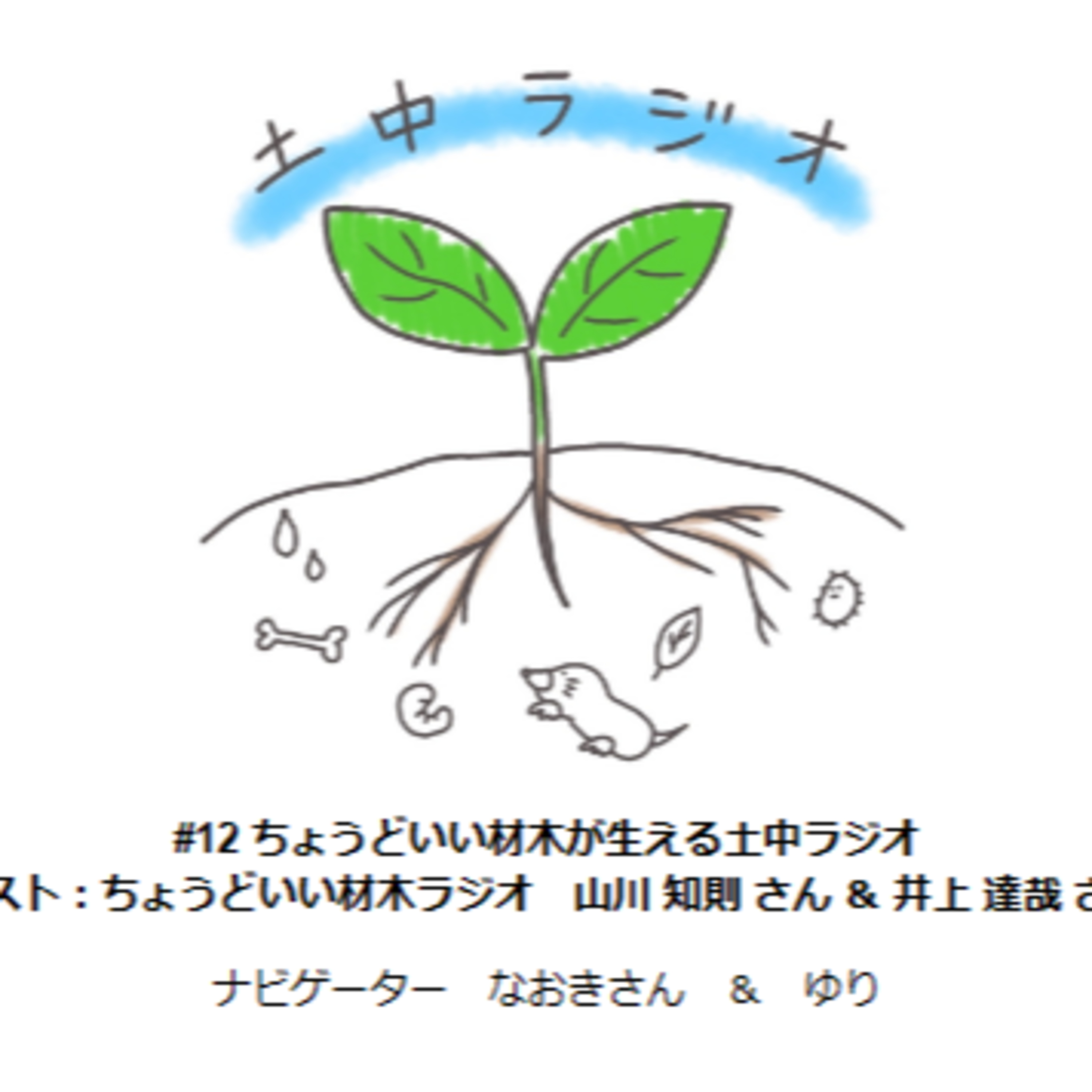 土中ラジオ #12　ちょうどいい材木が生える土中ラジオ　ゲスト：山川知則さん＆井上達哉さん episode artwork