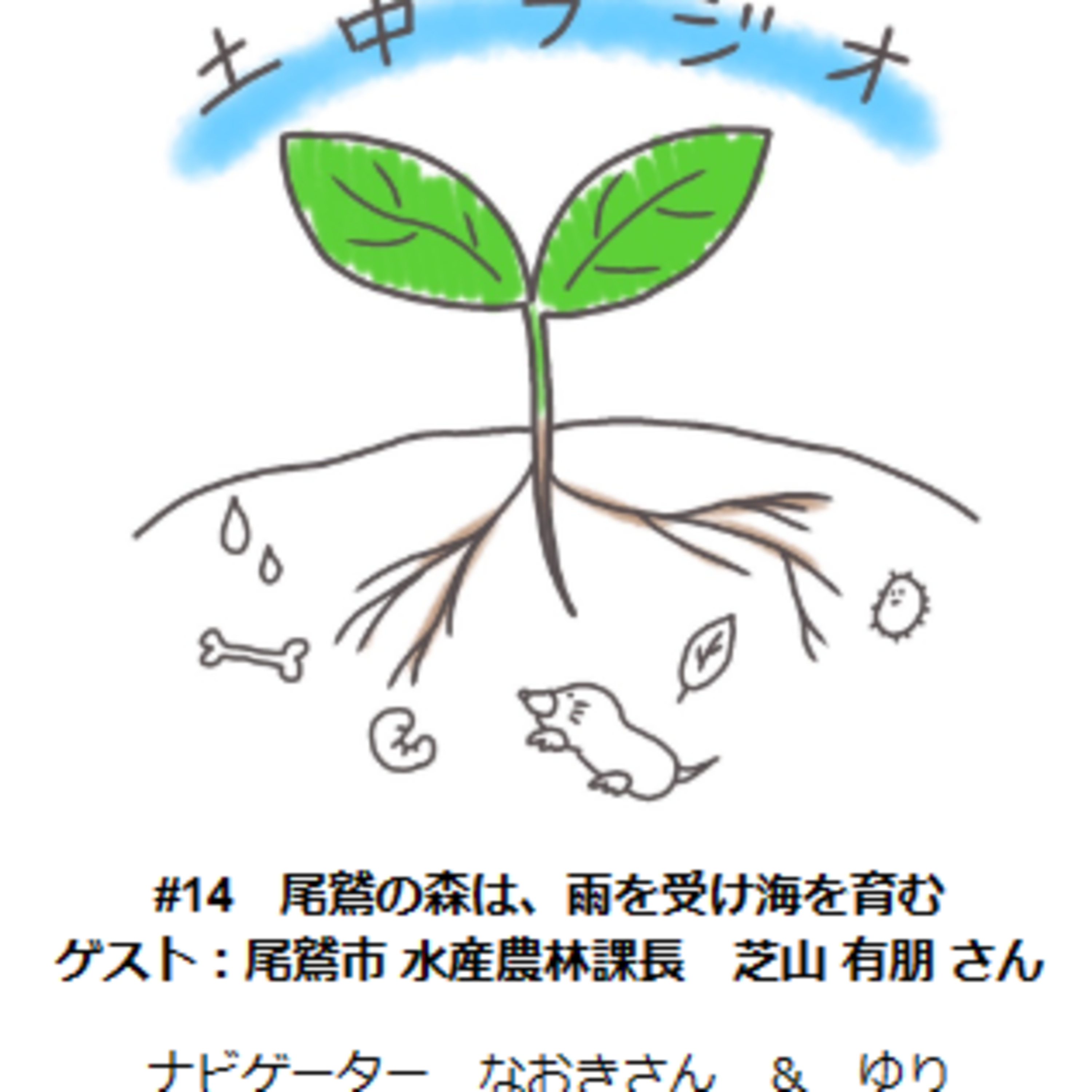 土中ラジオ #14　尾鷲の森は、雨を受け海を育む　ゲスト：芝山有朋さん episode artwork