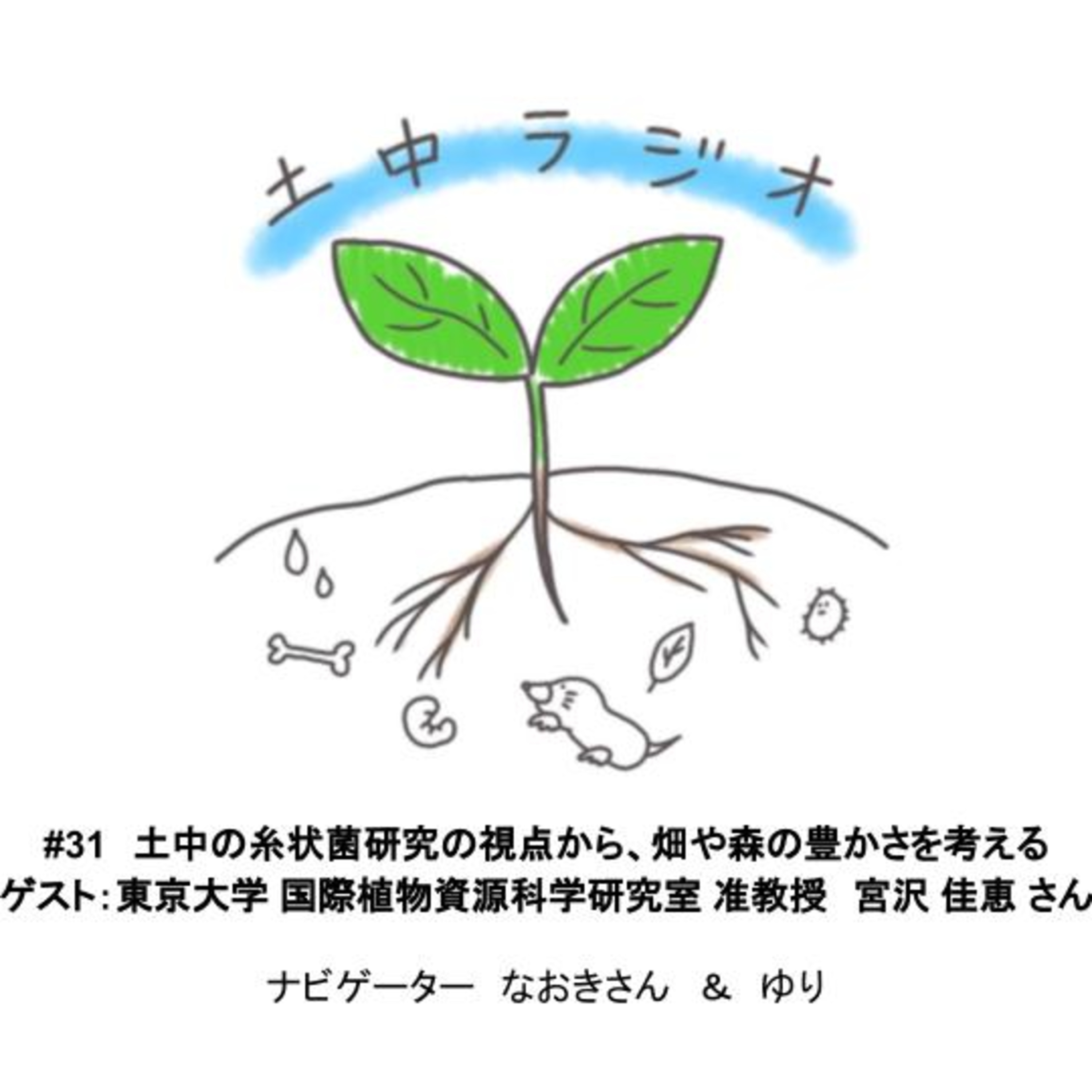 土中ラジオ#31　土中の糸状菌研究の視点から、畑や森の豊かさを考える　ゲスト：宮沢 佳恵 さん episode artwork