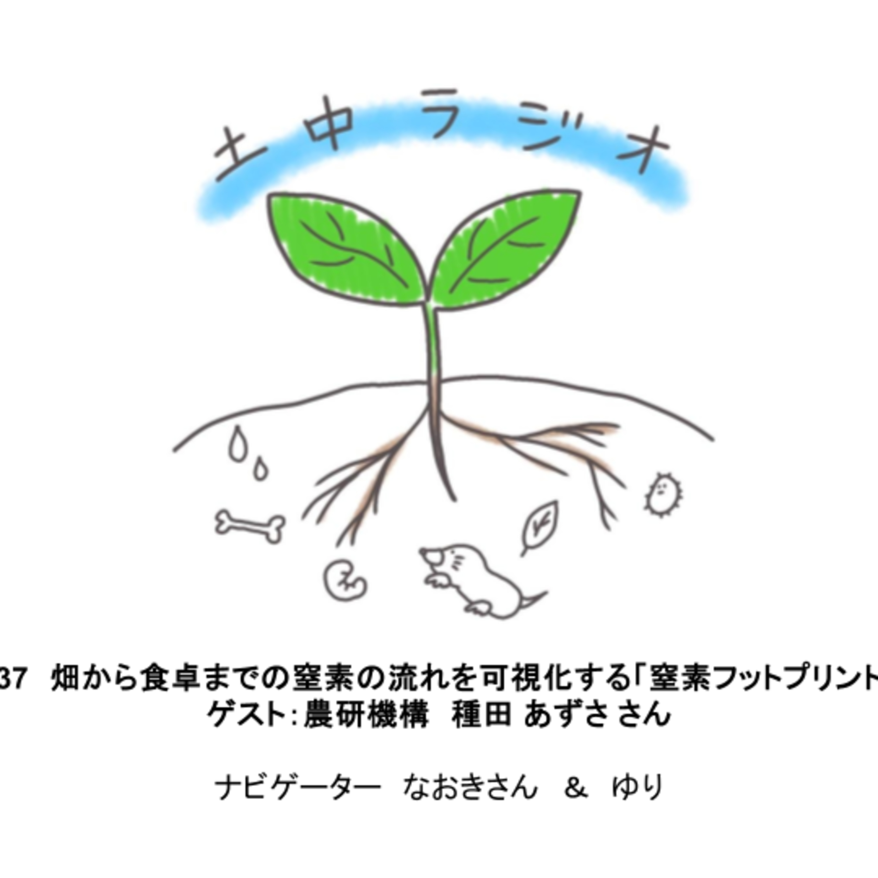 土中ラジオ#37　畑から食卓までの窒素の流れを可視化する「窒素フットプリント」　ゲスト：種田あずささん episode artwork