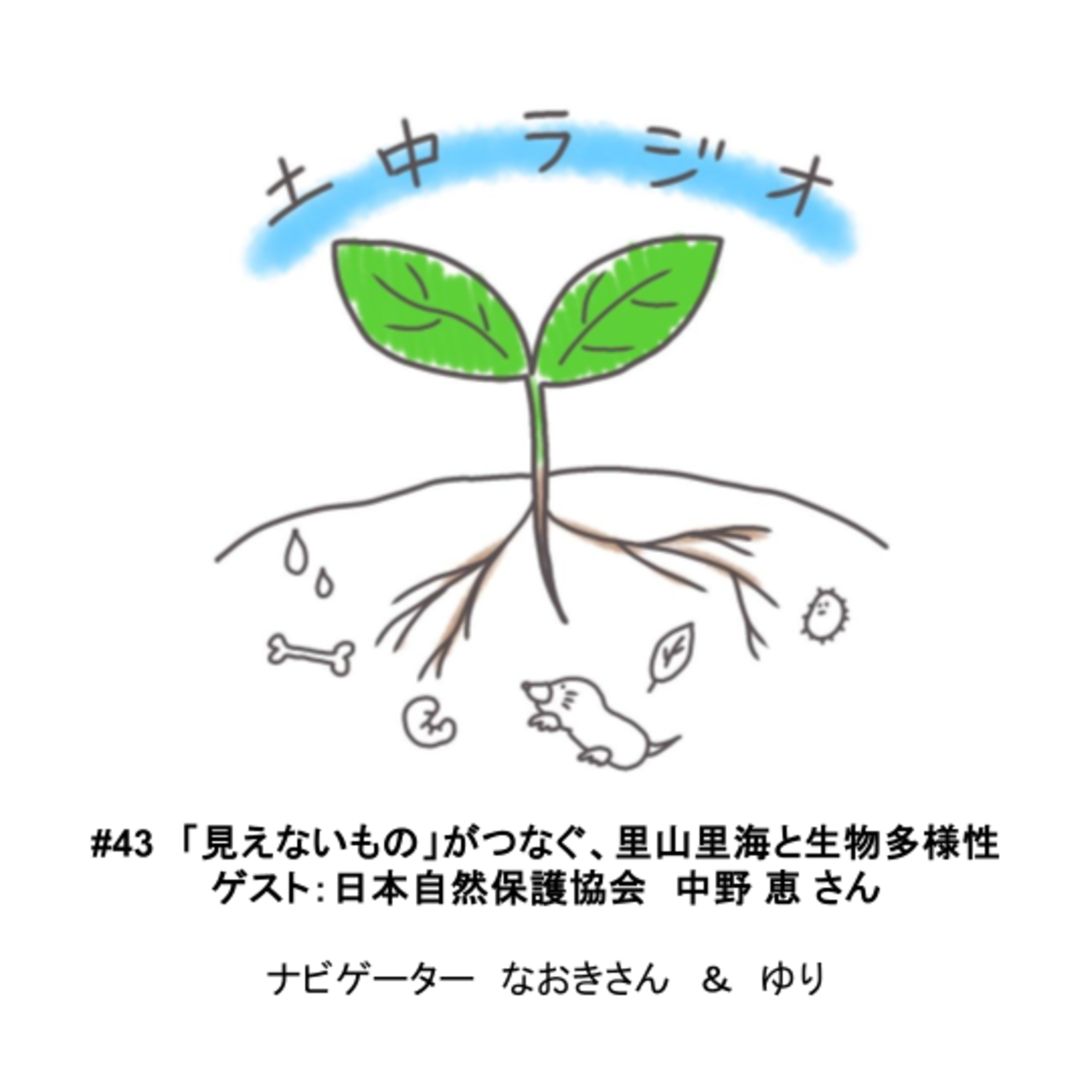 土中ラジオ#43　「見えないもの」がつなぐ、里山里海と生物多様性　ゲスト：中野 恵 さん episode artwork