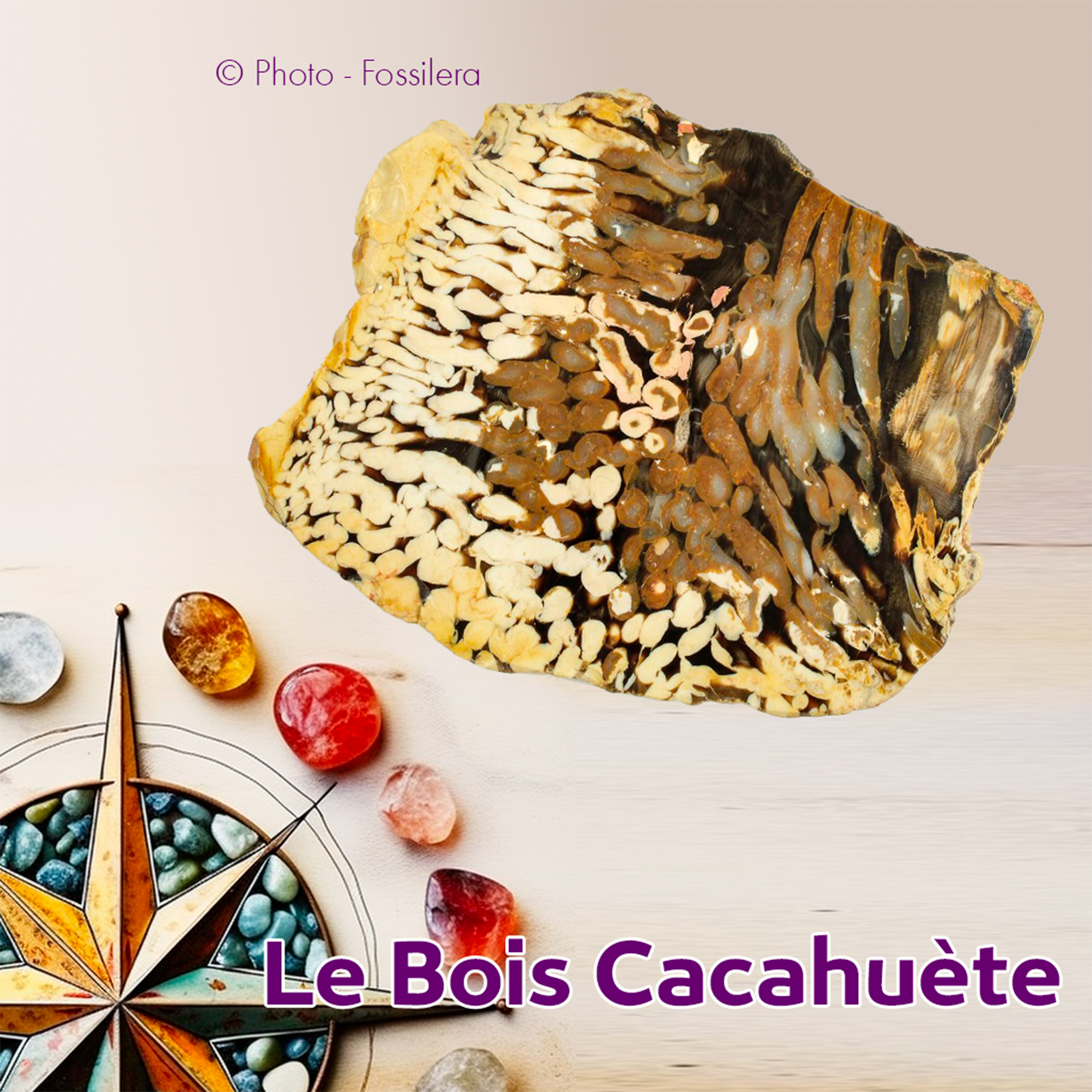 L\'index des pierres par Crystcare