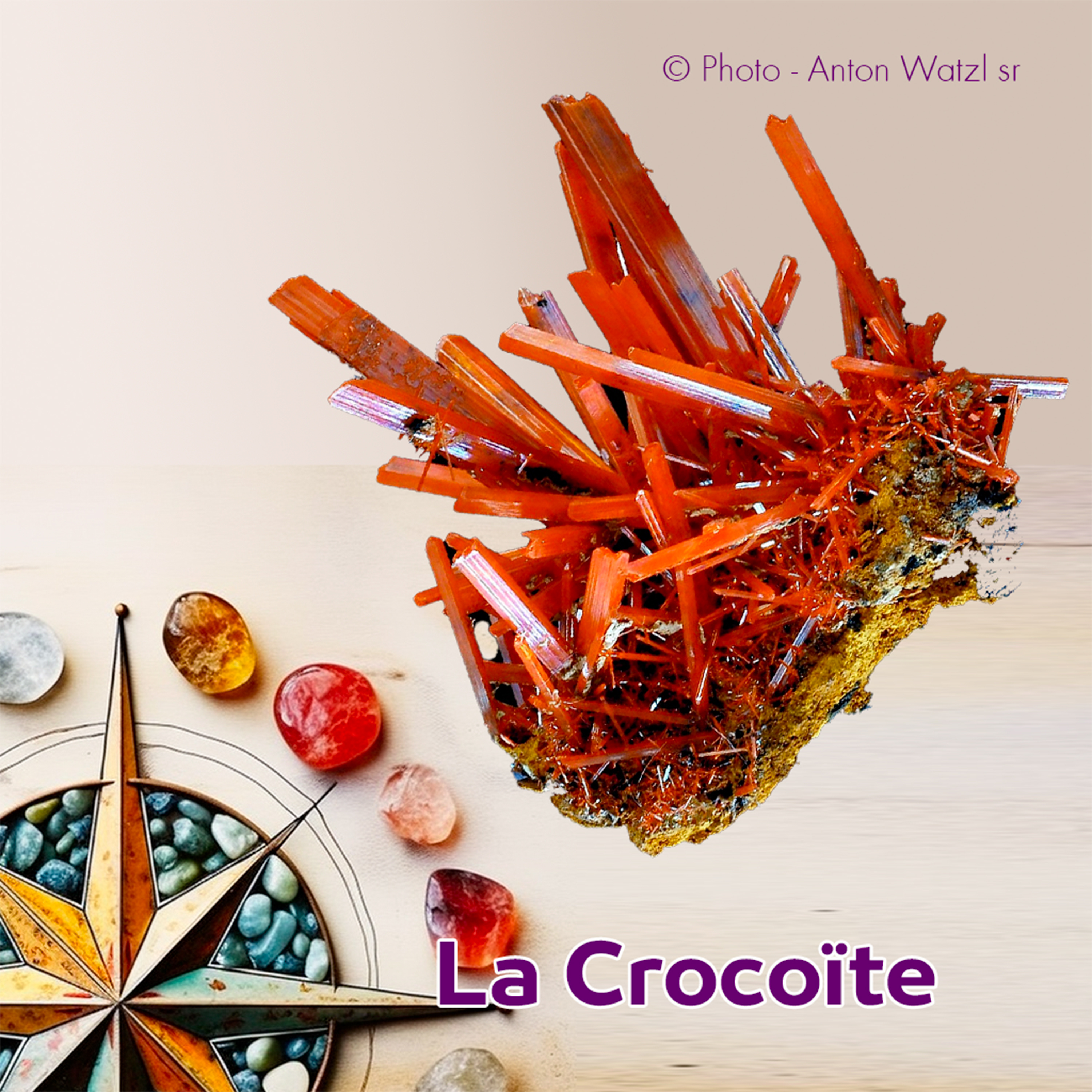 La Crocoïte