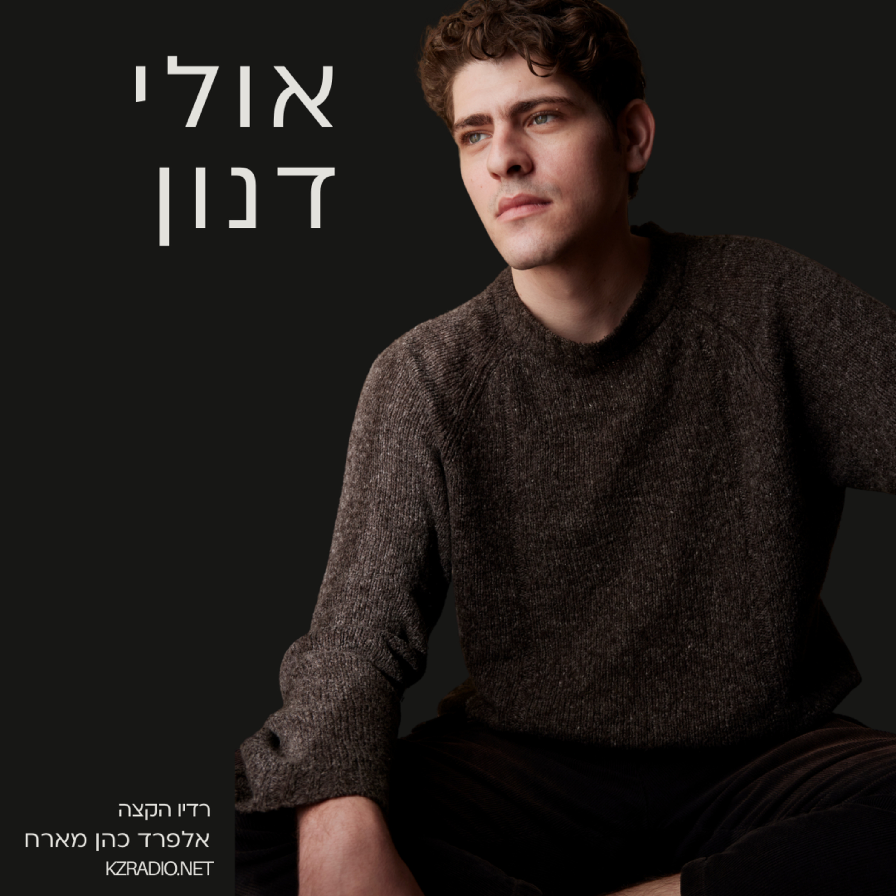 על השקרים היפים - שיחה עם אולי דנון episode artwork