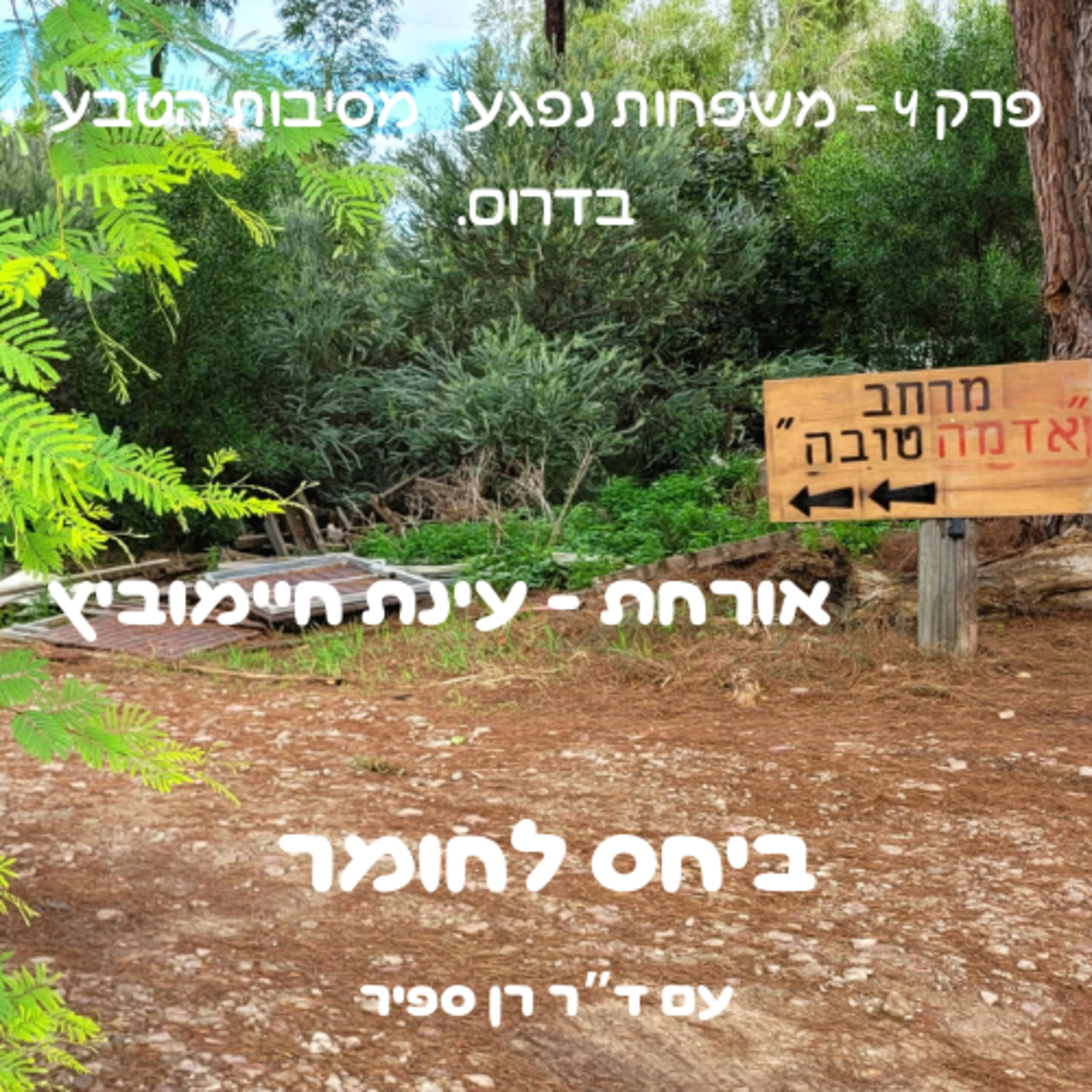  פרק 4 - משפחות נפגעי מסיבות הטבע בדרום episode artwork