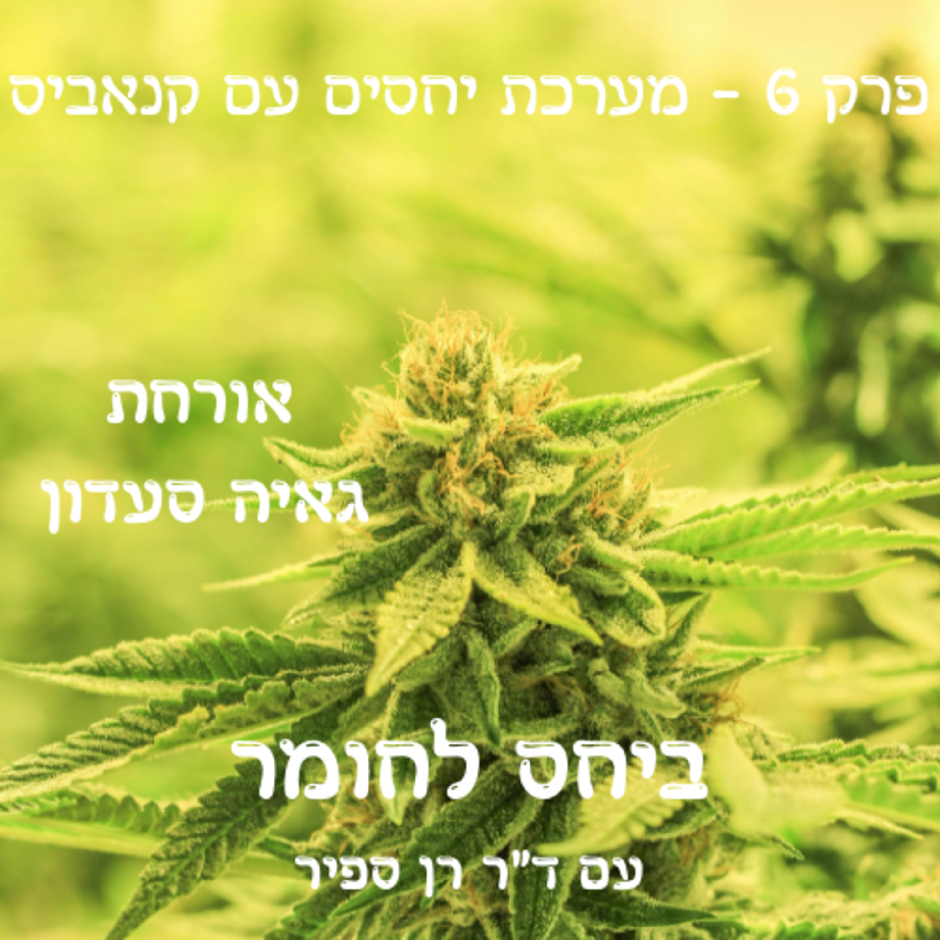 פרק 6 - מערכת יחסים עם קנאביס