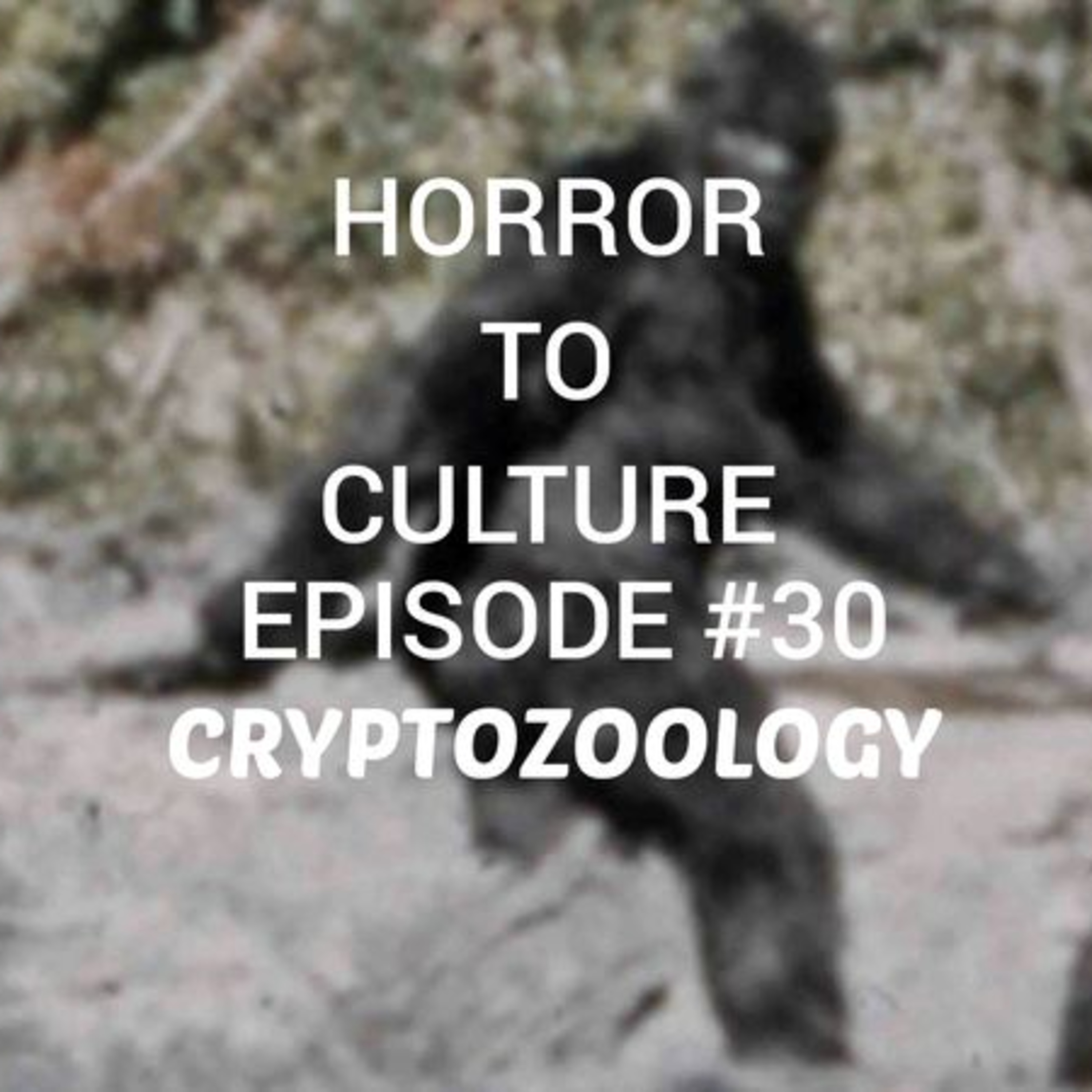 HORROR TO CULTURE 30