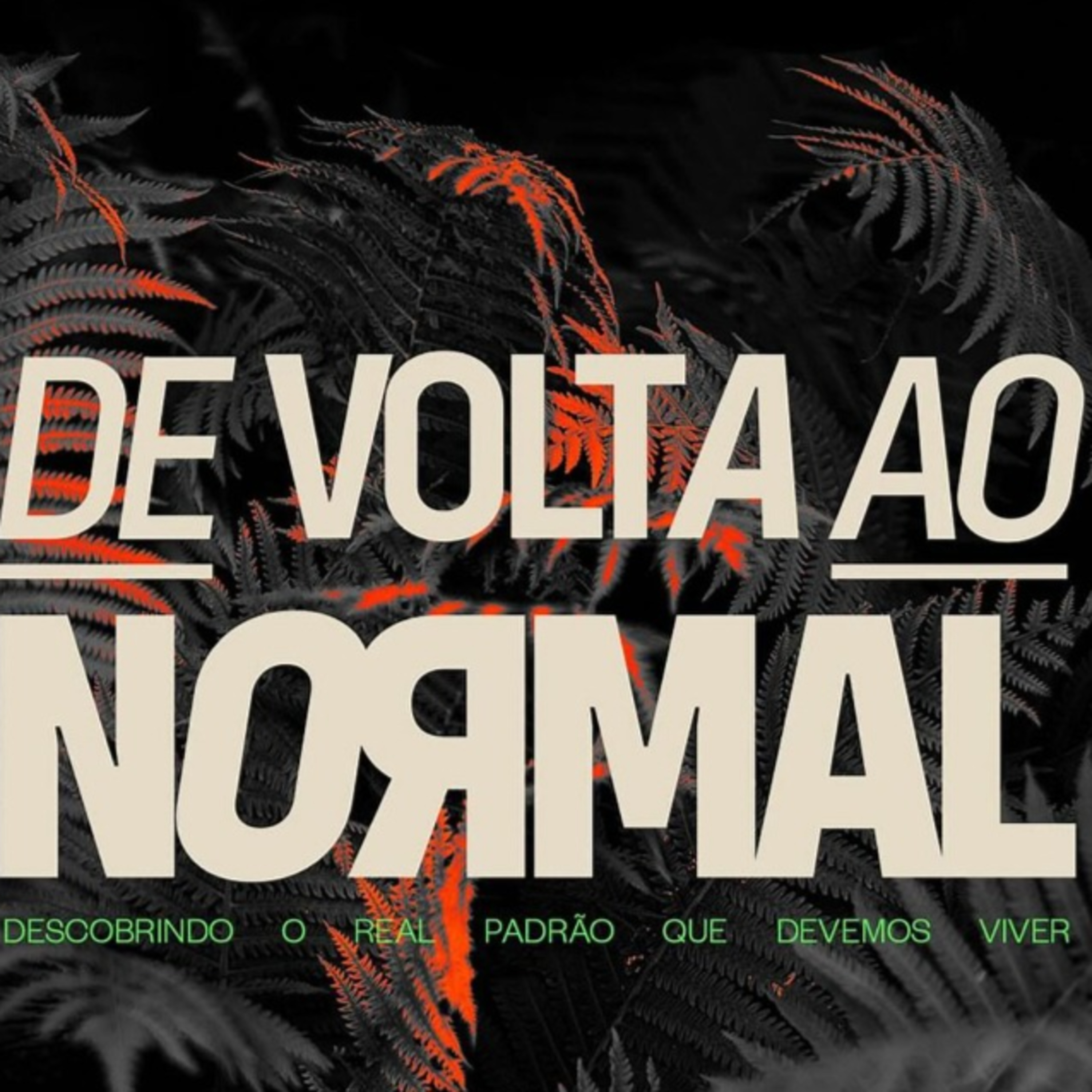 CCVideira Brasília
