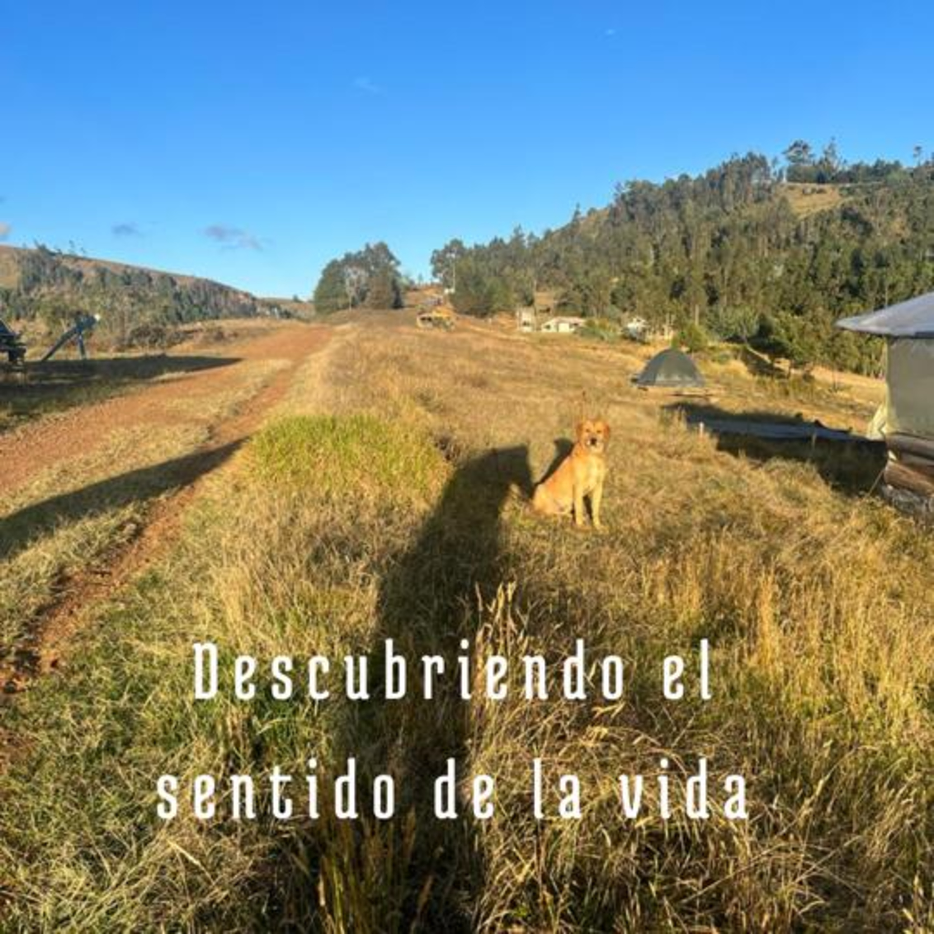 Descubirendo el sentido de la vida  episode artwork