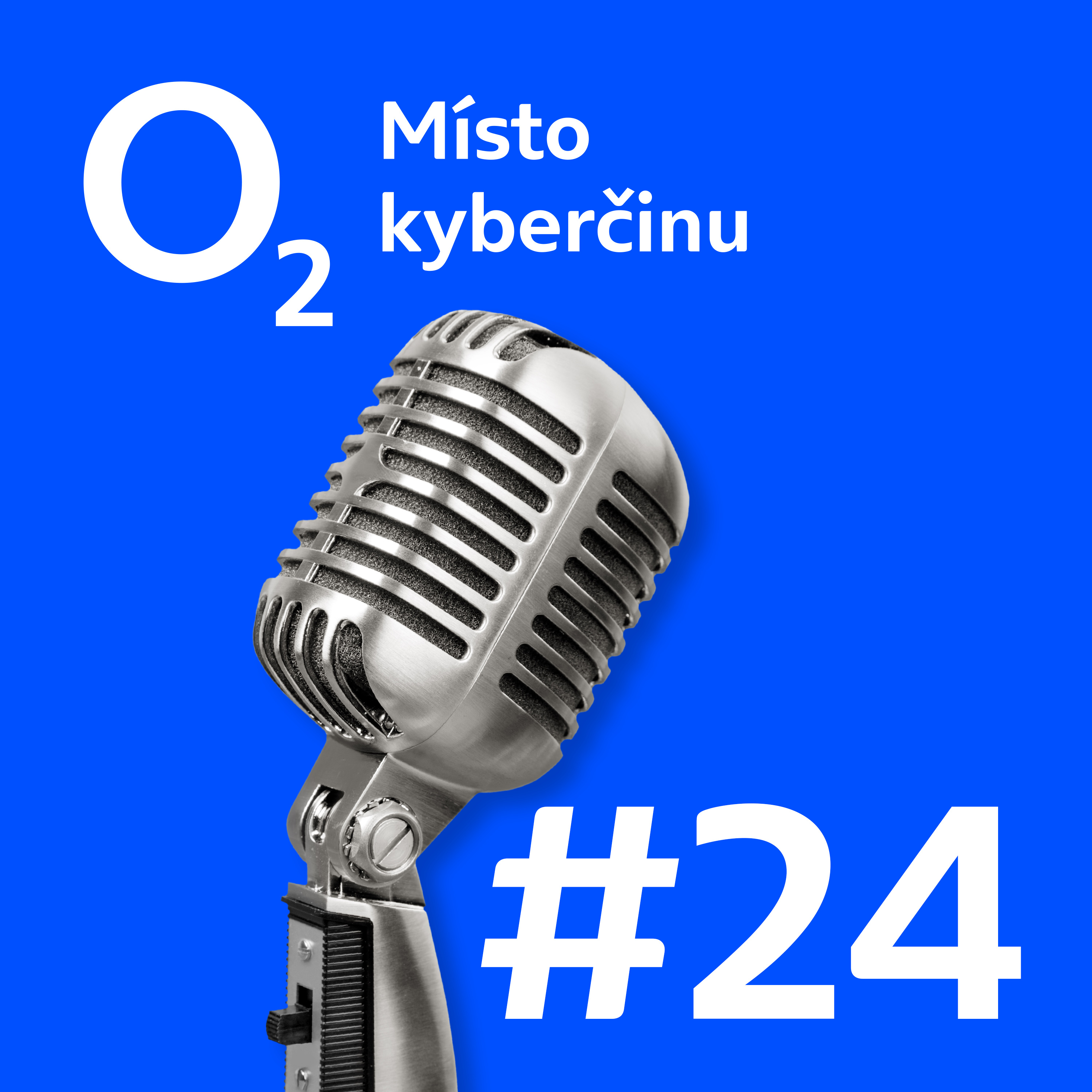 Estonsko zažilo největší kybernetický útok v historii I O2 Místo kyberčinu