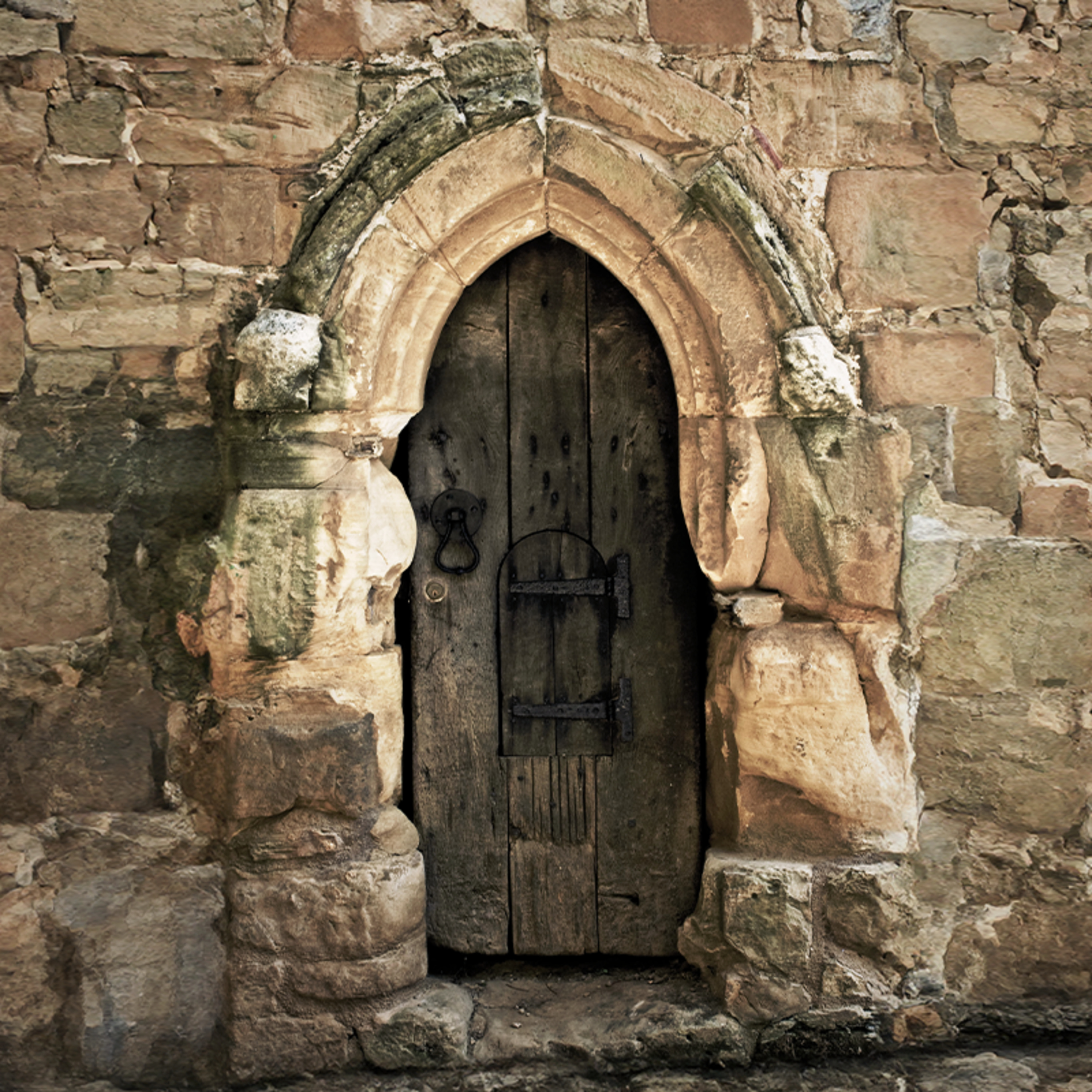 Homilia Diária | “Fazei todo esforço possível!” (Quarta-feira da 30.ª Semana do Tempo Comum)