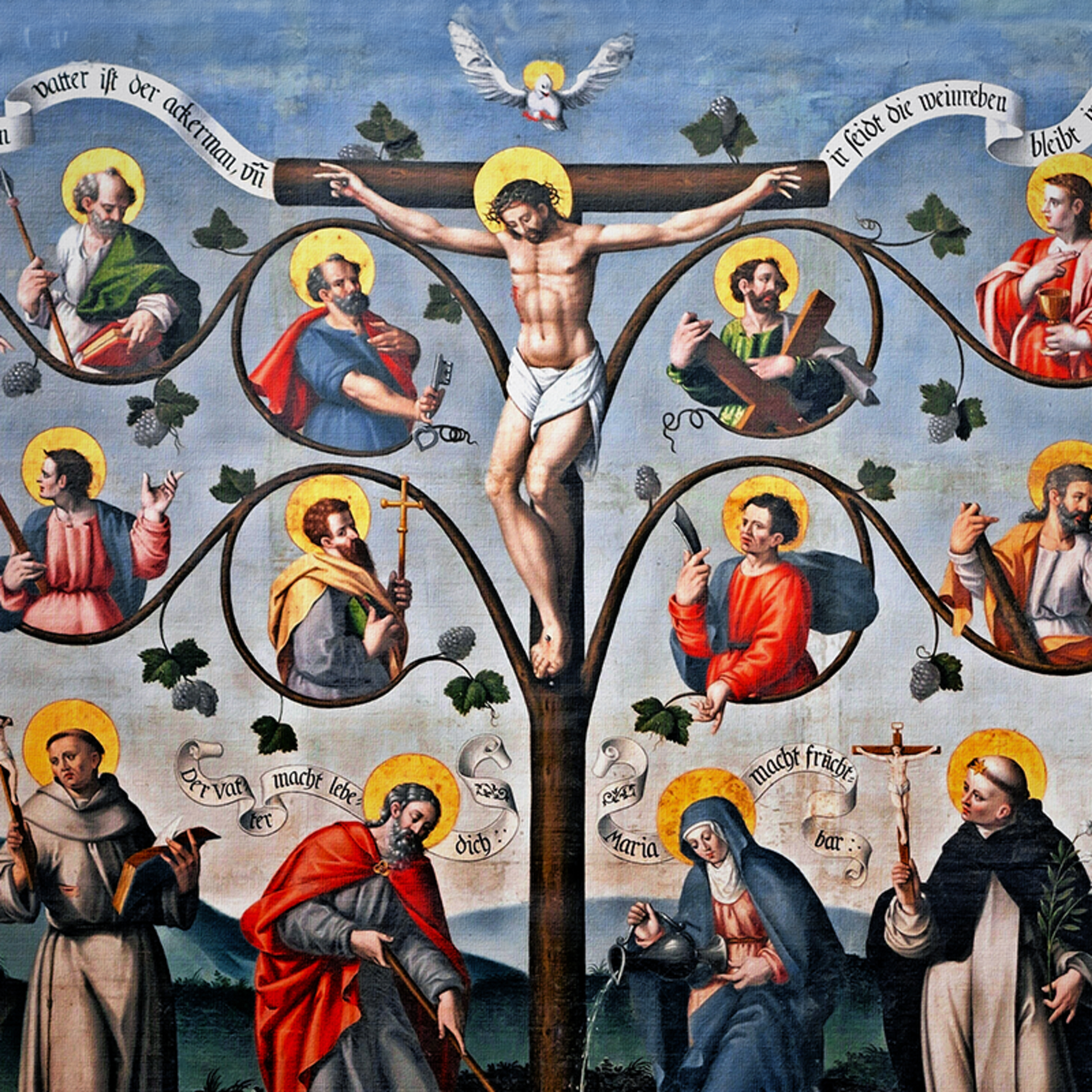 Homilia Dominical | Como seremos os ramos da videira de Cristo? (5º Domingo da Páscoa)