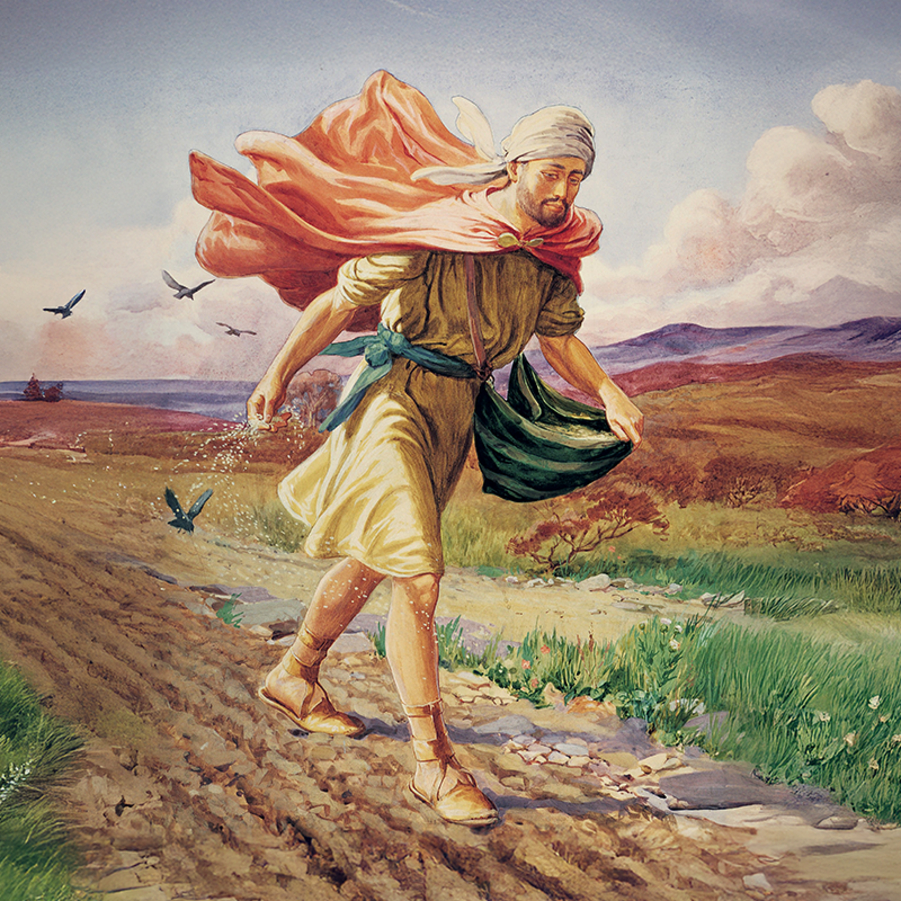 Homilia Diária | Os três terrenos da parábola do semeador (Quarta-feira da 16ª Sem. do Tempo Comum)