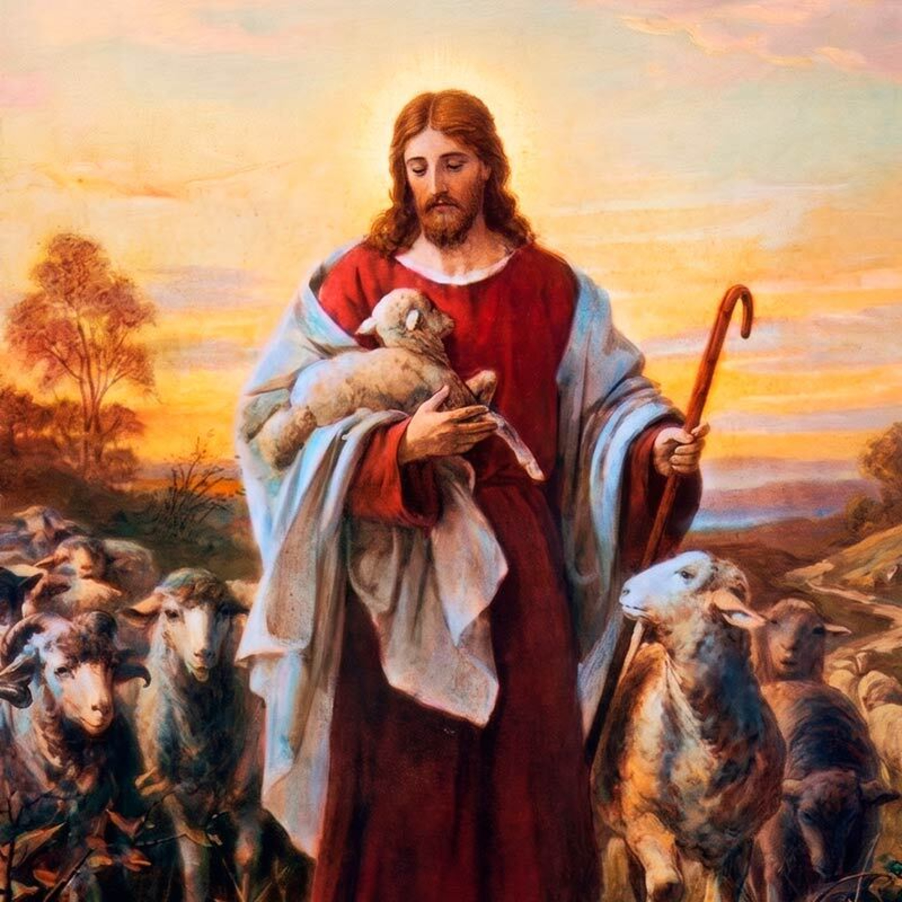 Homilia Dominical | O pastoreio e o amor indiviso a Cristo (4º Domingo da Páscoa (A) - 26/04/2026)