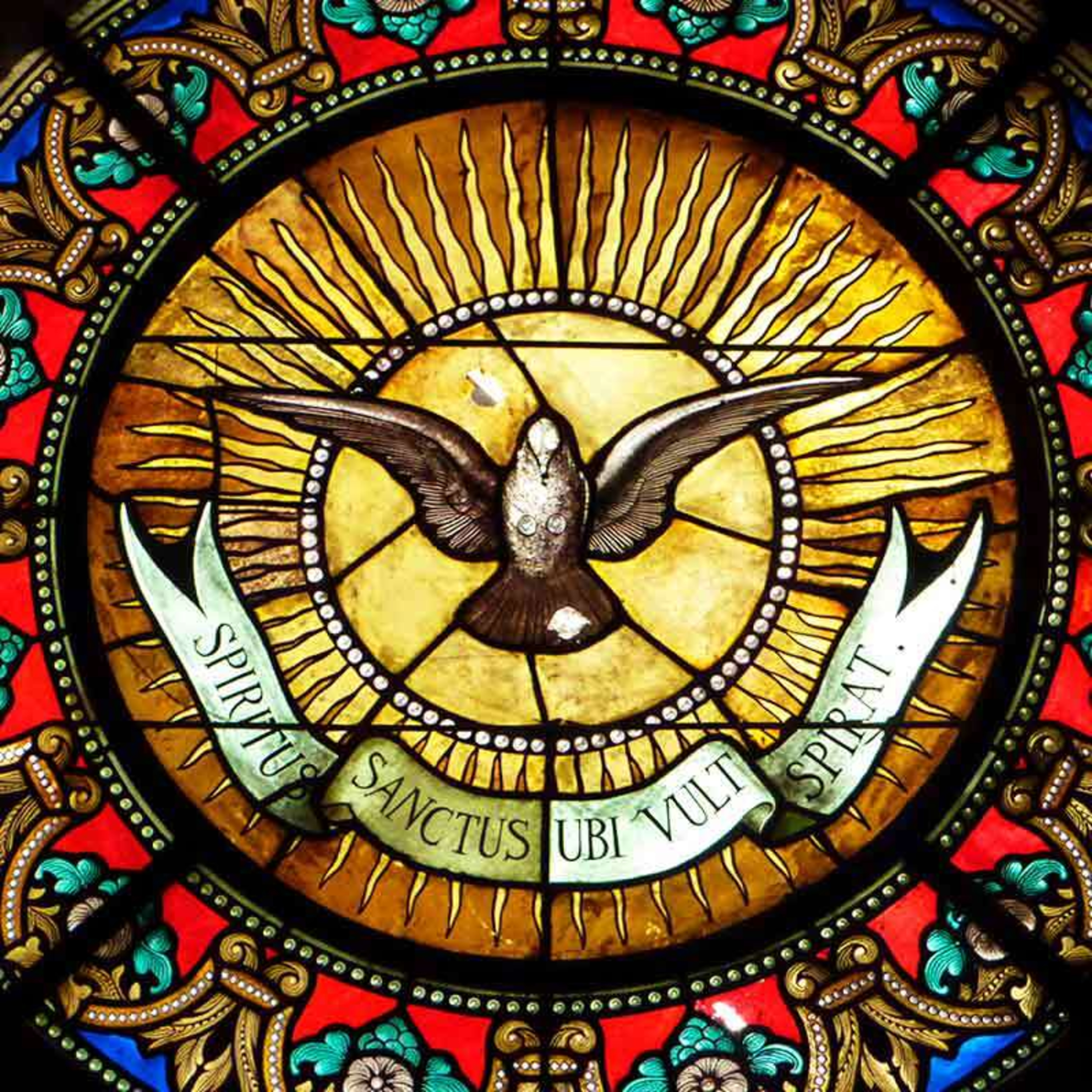 Homilia Diária | O progresso espiritual e os Dons do Espírito Santo (Sexta-feira 6ª Sem. da Páscoa)