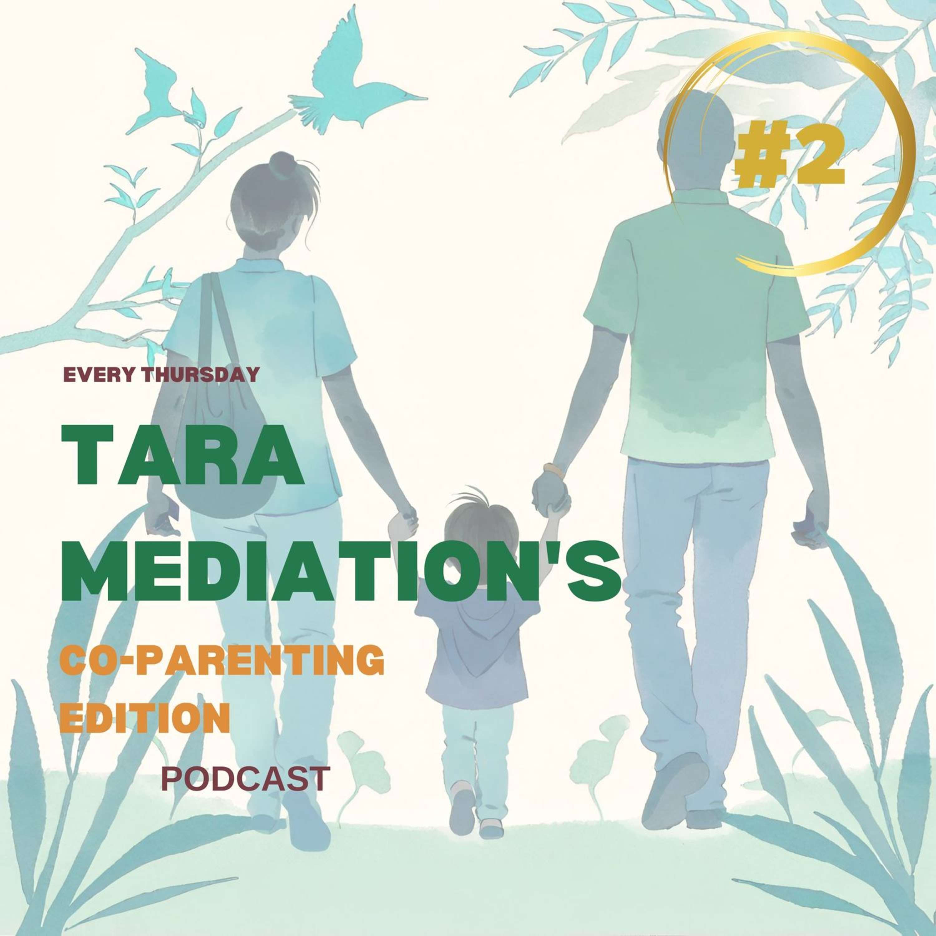 2.2 The Co in Co-parenting: Cooperative parents - The role of a structured co-parenting plan in 	fostering positive cooperation between parents for the benefit of the child.  episode artwork