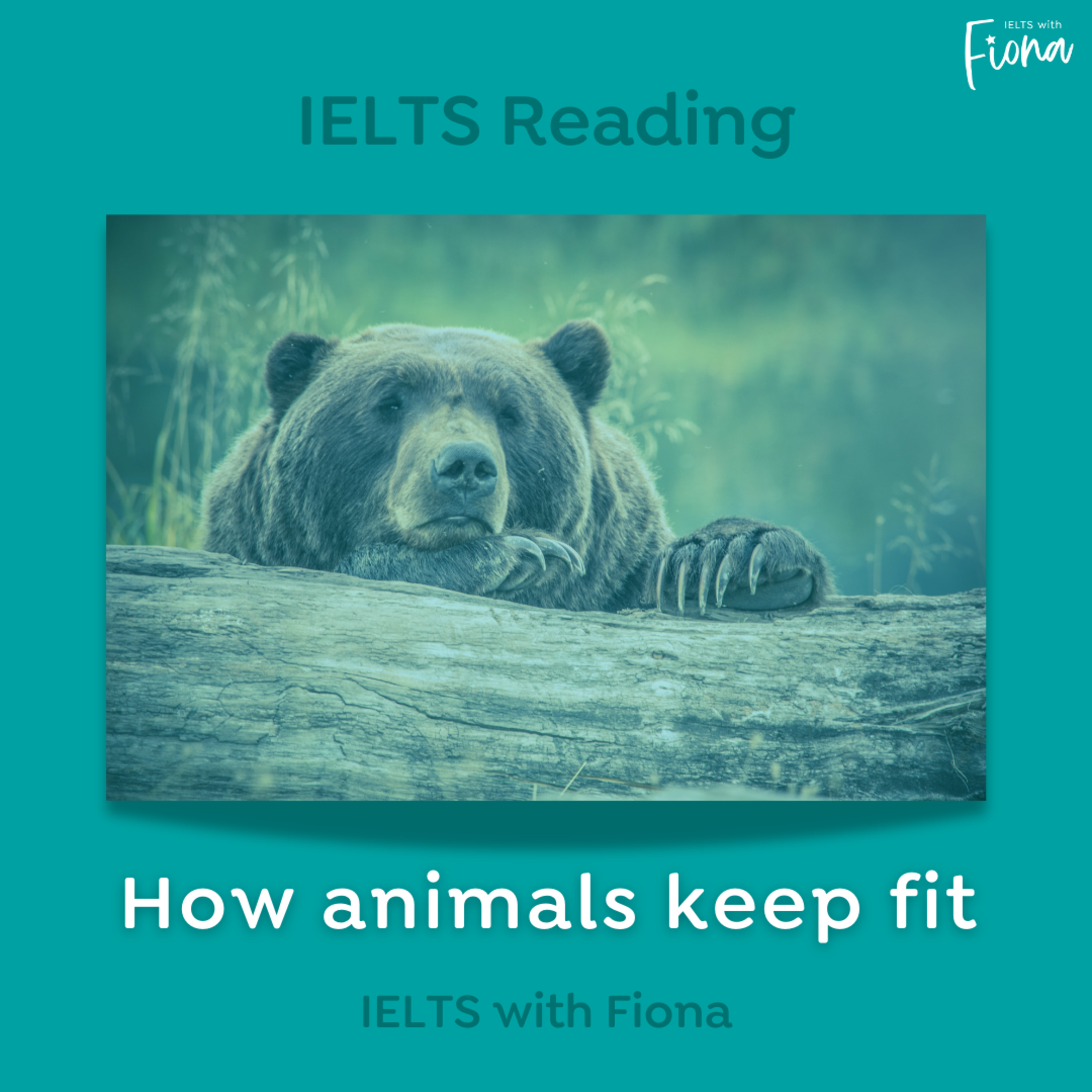 IELTS with Fiona: a comprehensive guide to IELTS