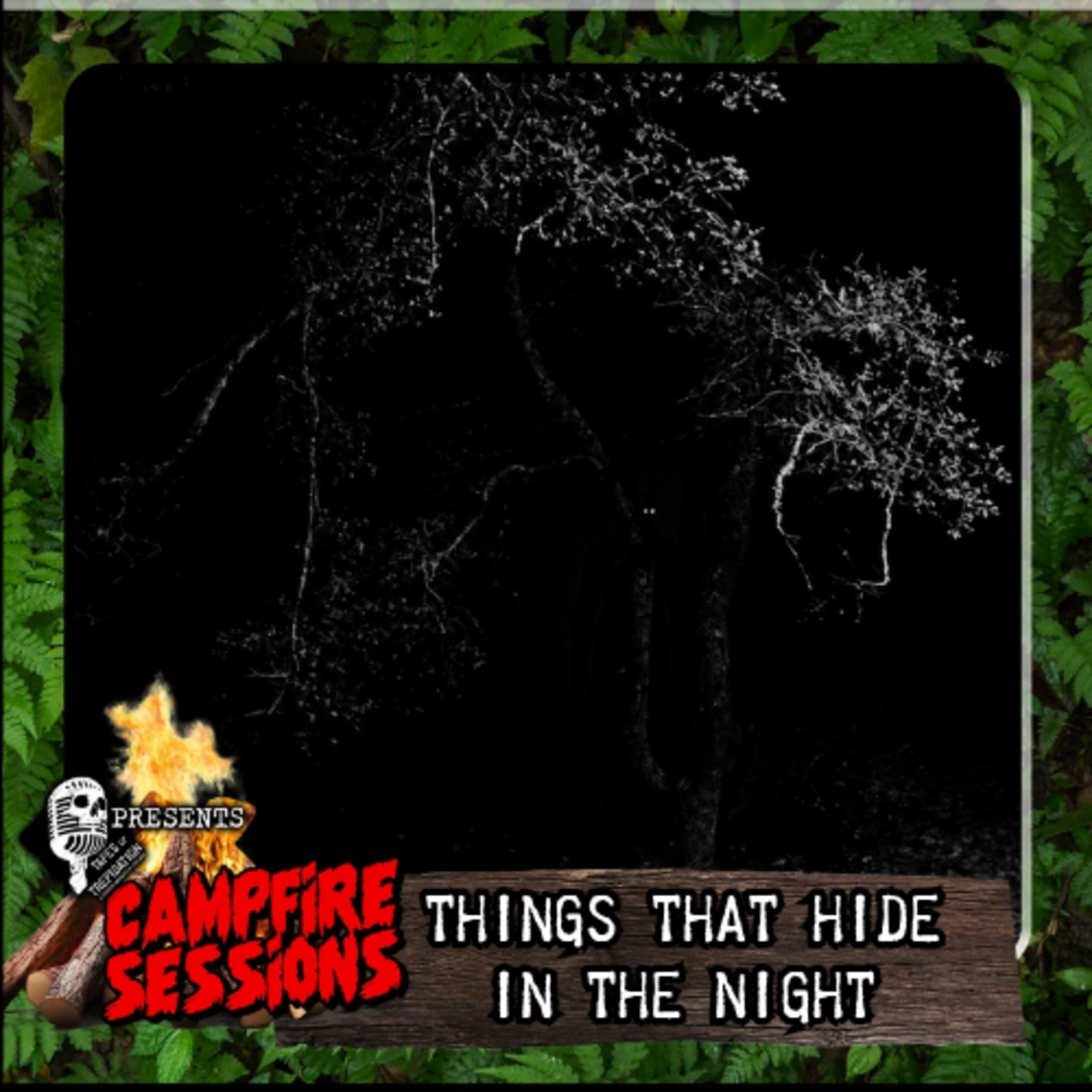 Campfire Sessions II: Things that Hide in the Night