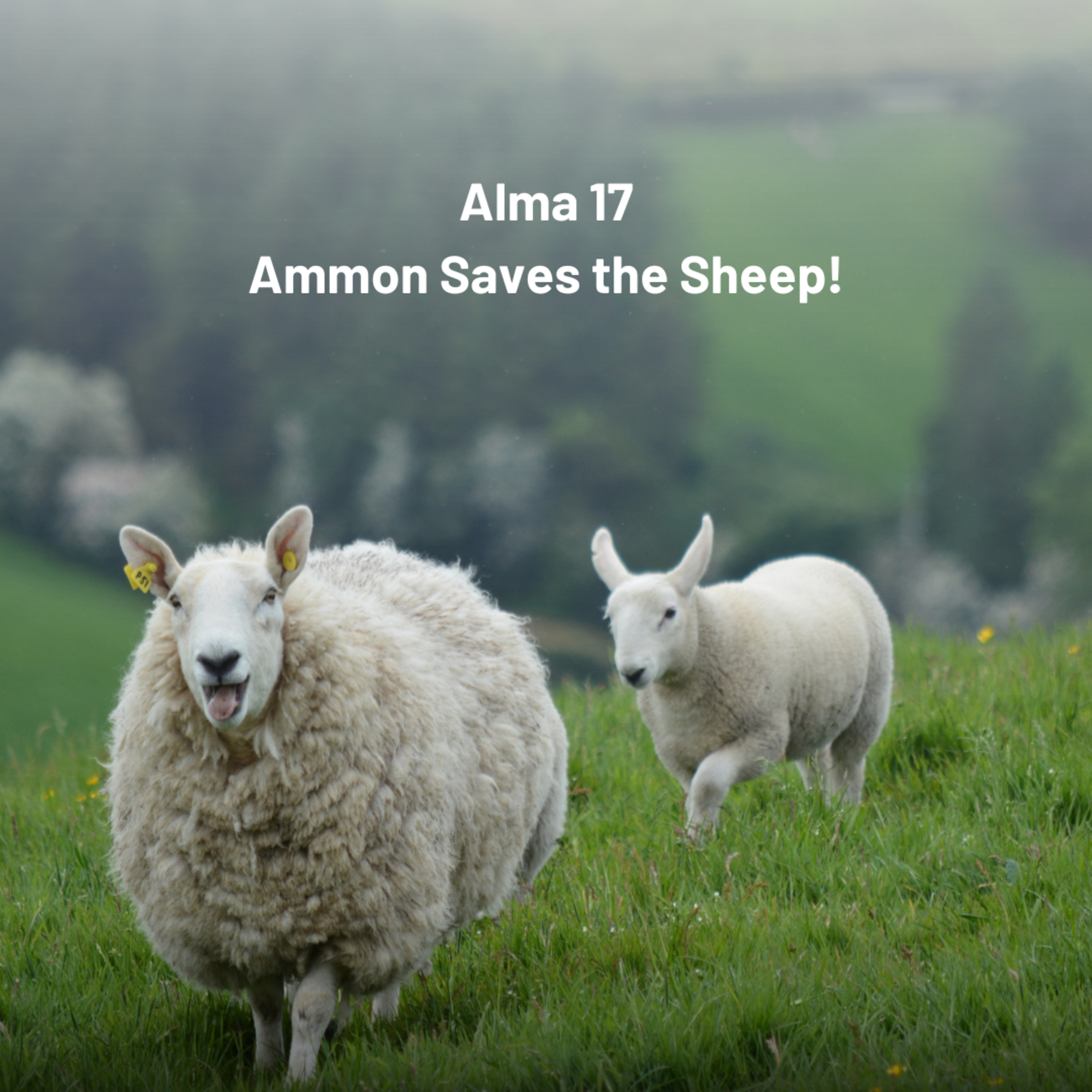 Alma 17 - Ammon Saves the Sheep!