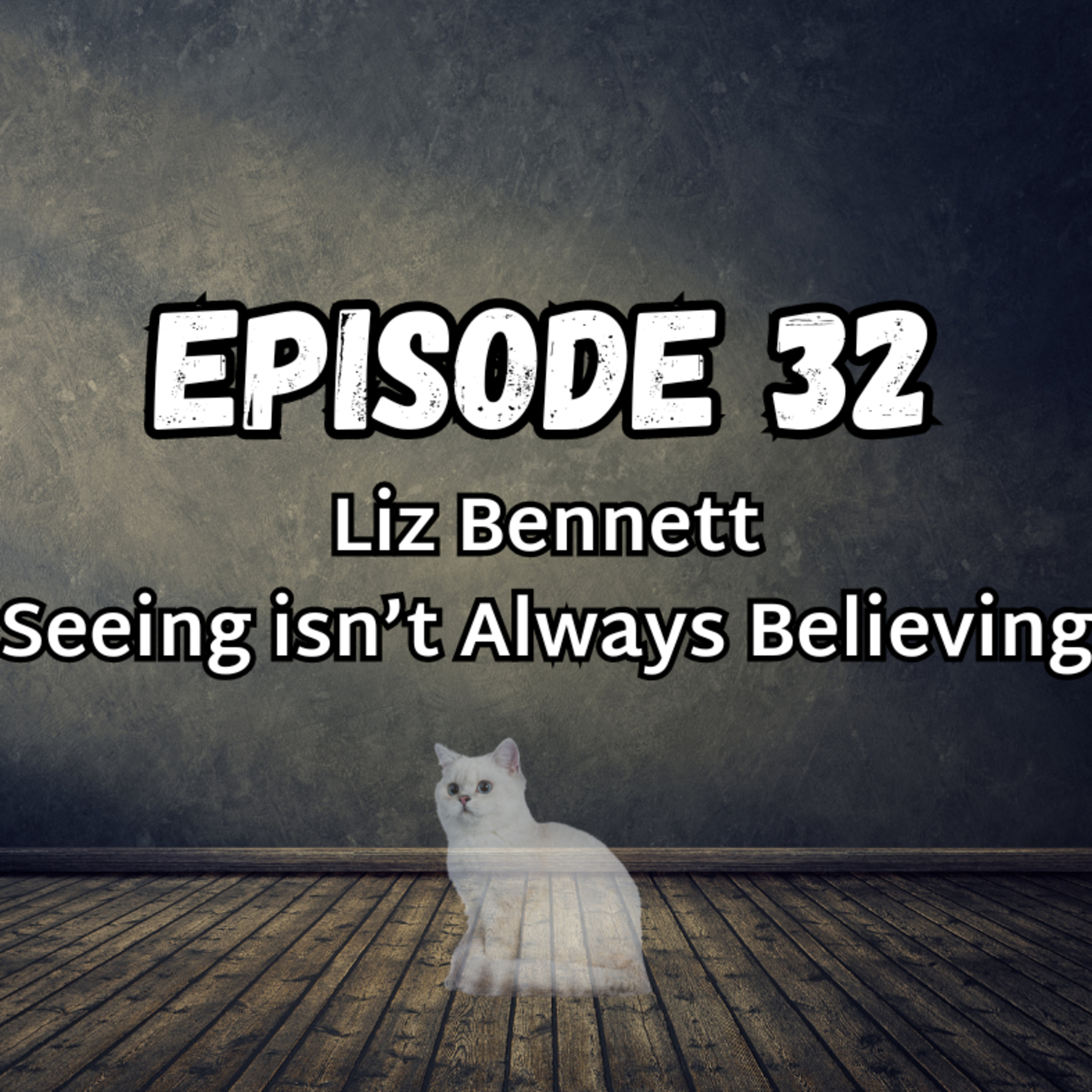 Liz Bennett: Seeing isn't Always Believing  episode artwork
