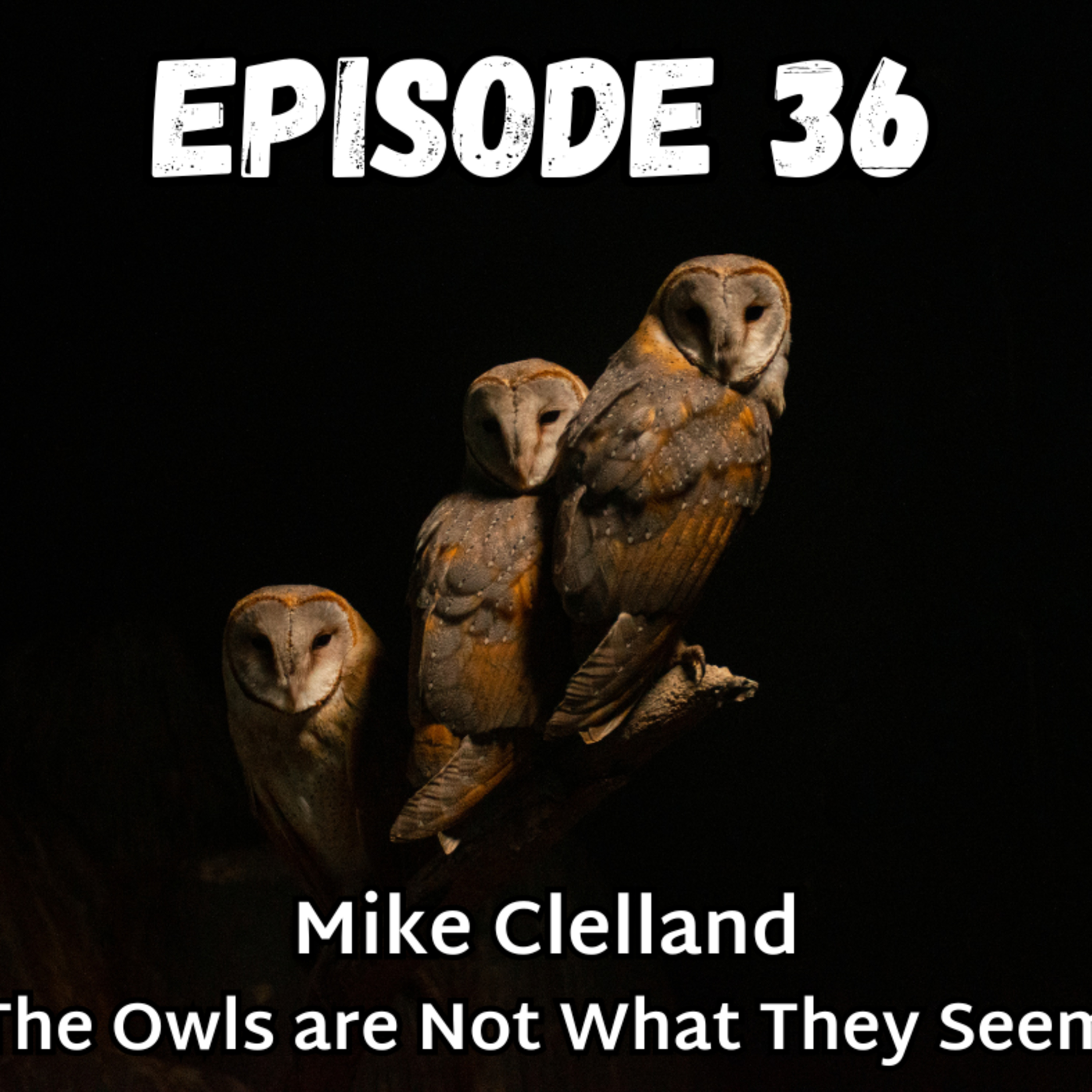 Strange Stories with the Seeker and the Skeptic