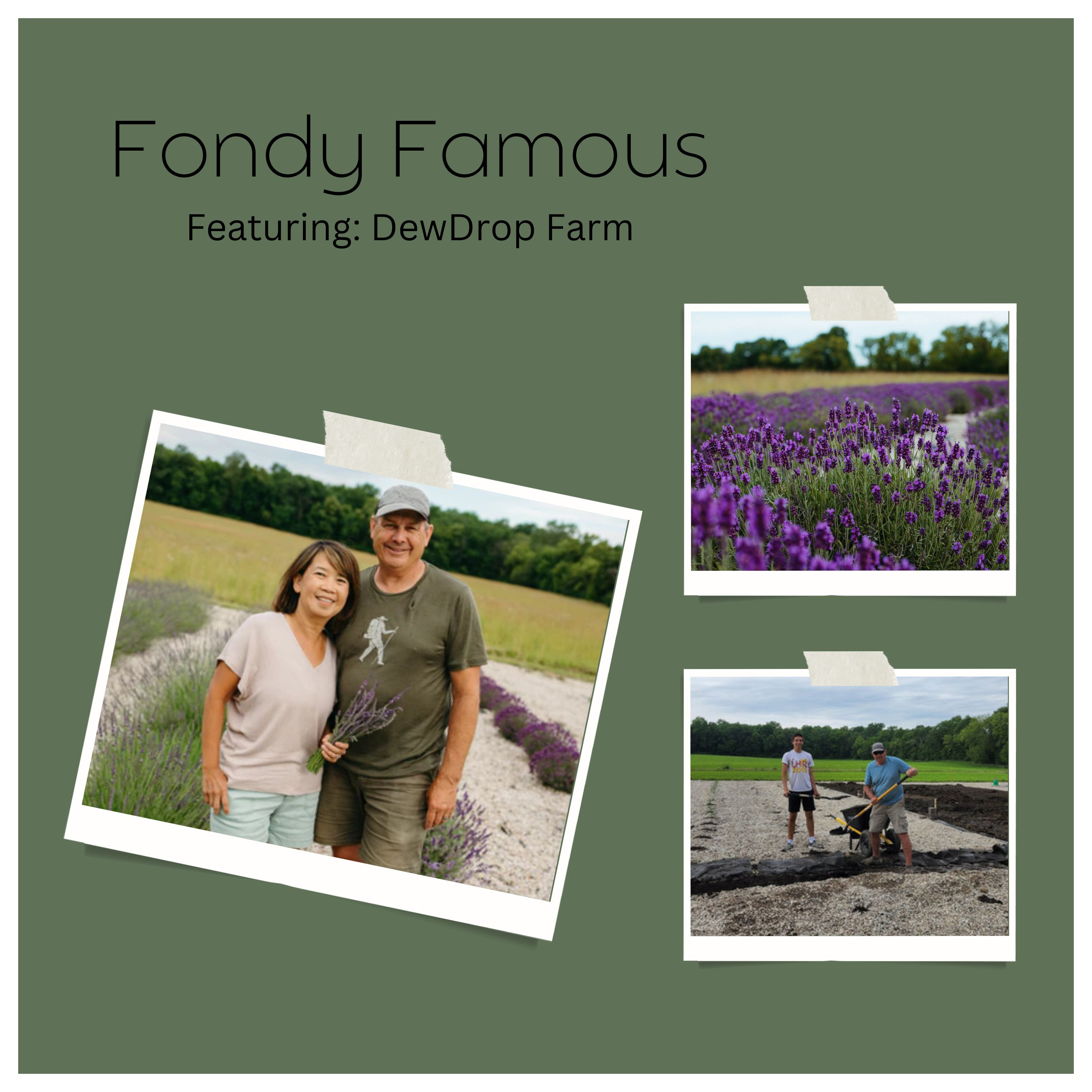 Fondy Famous
