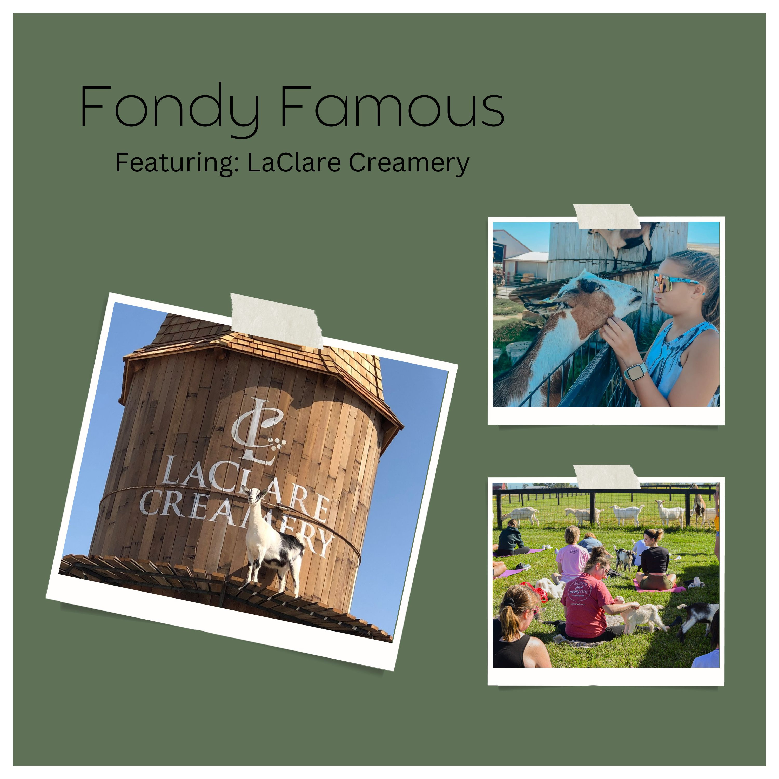 Fondy Famous