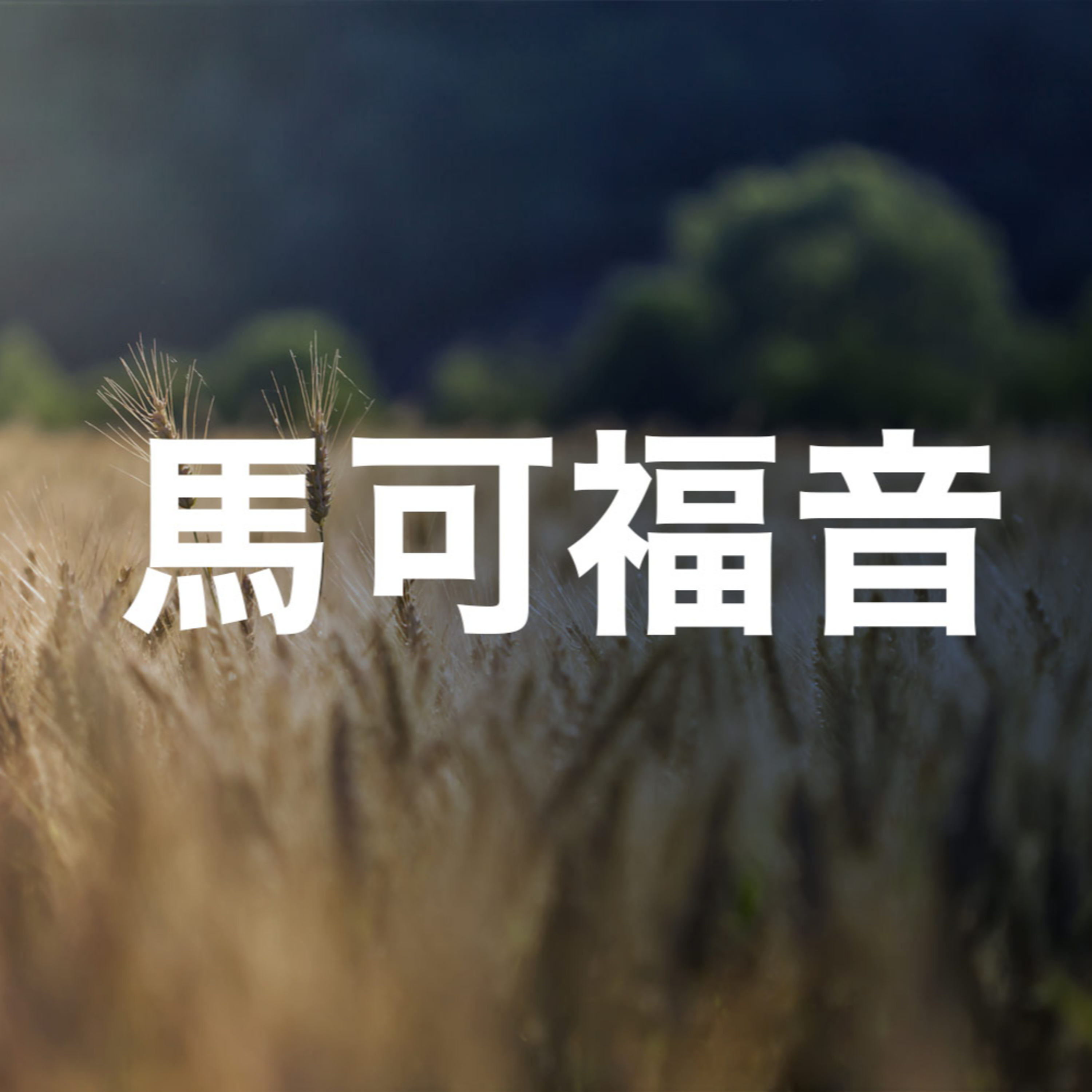 2024年10月13日 午堂主日崇拜 episode artwork