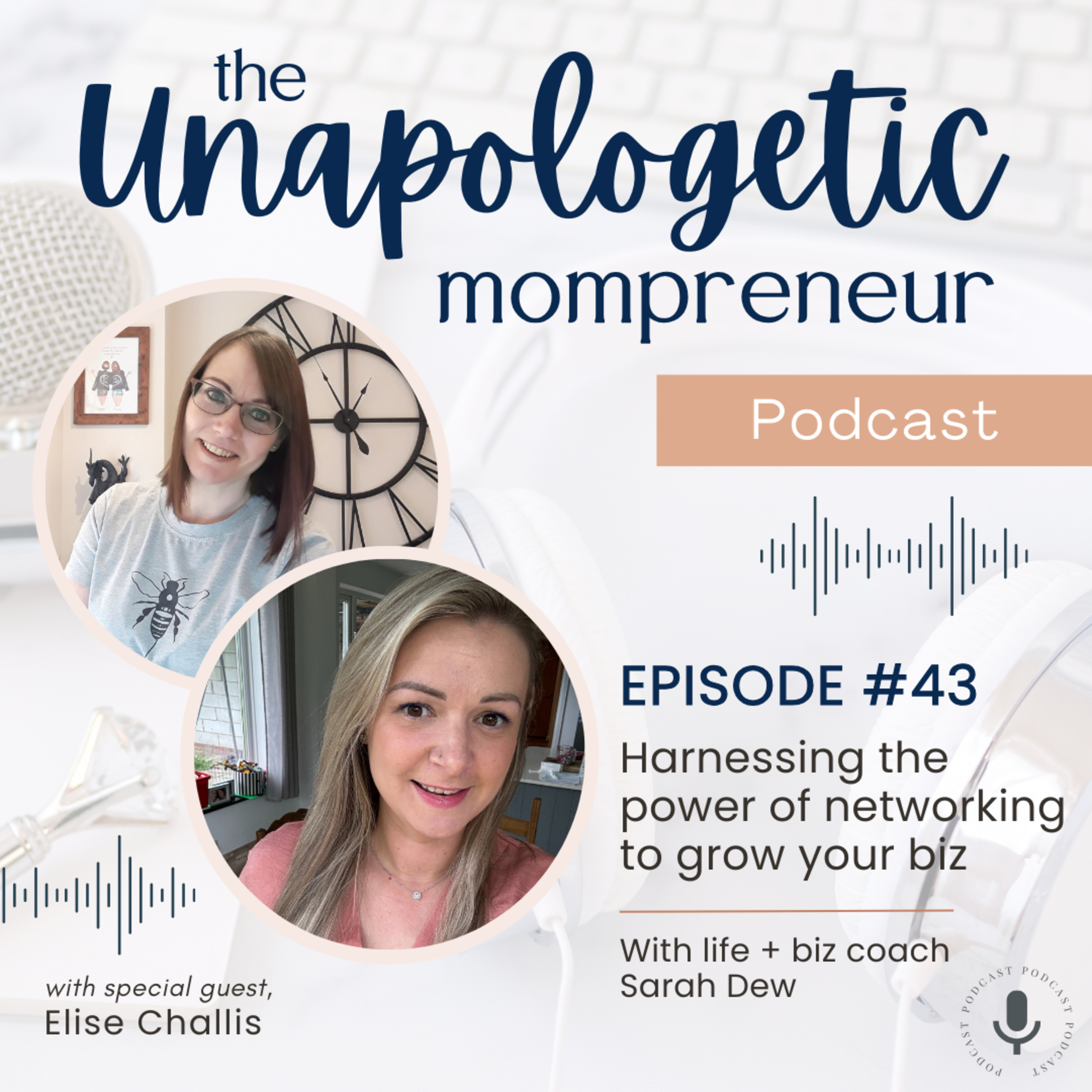 Ep. 43 | Harnessing the power of networking to grow your biz episode artwork
