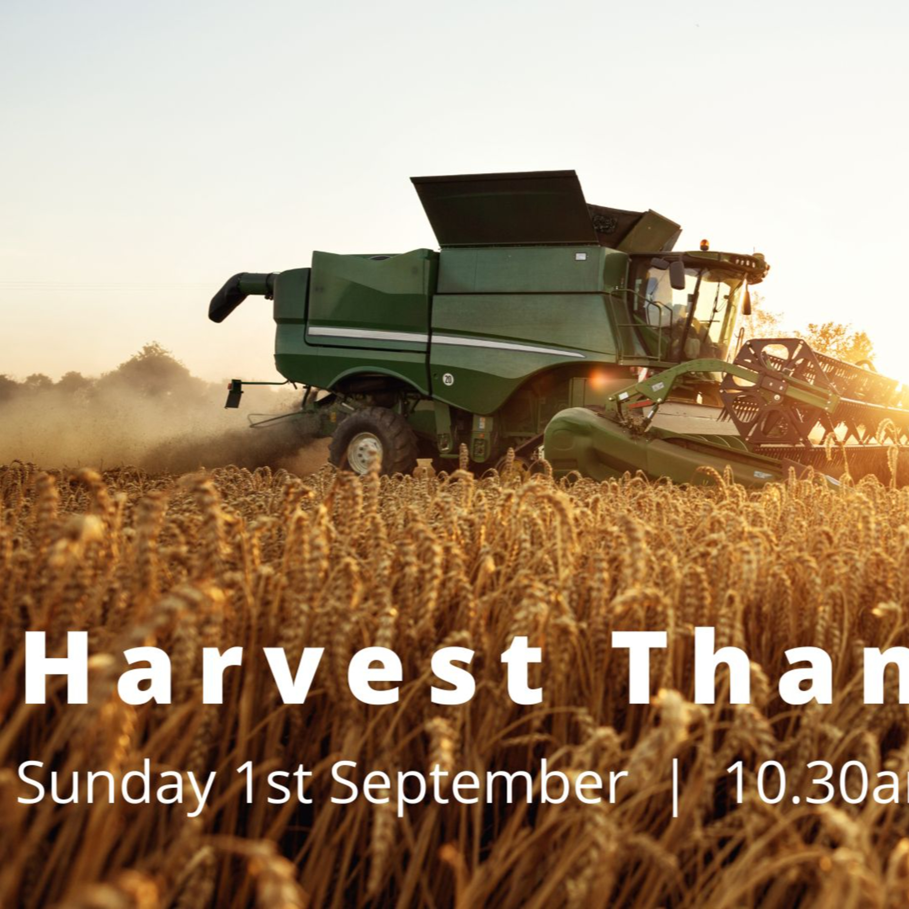 Harvest 2024 episode artwork