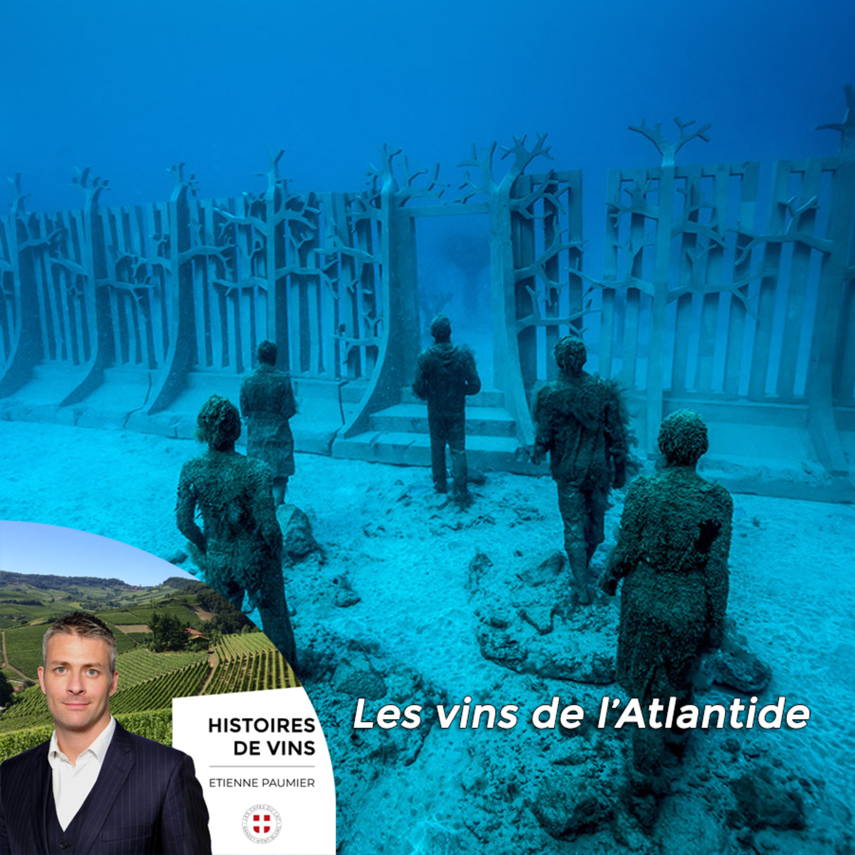 Histoires de vins