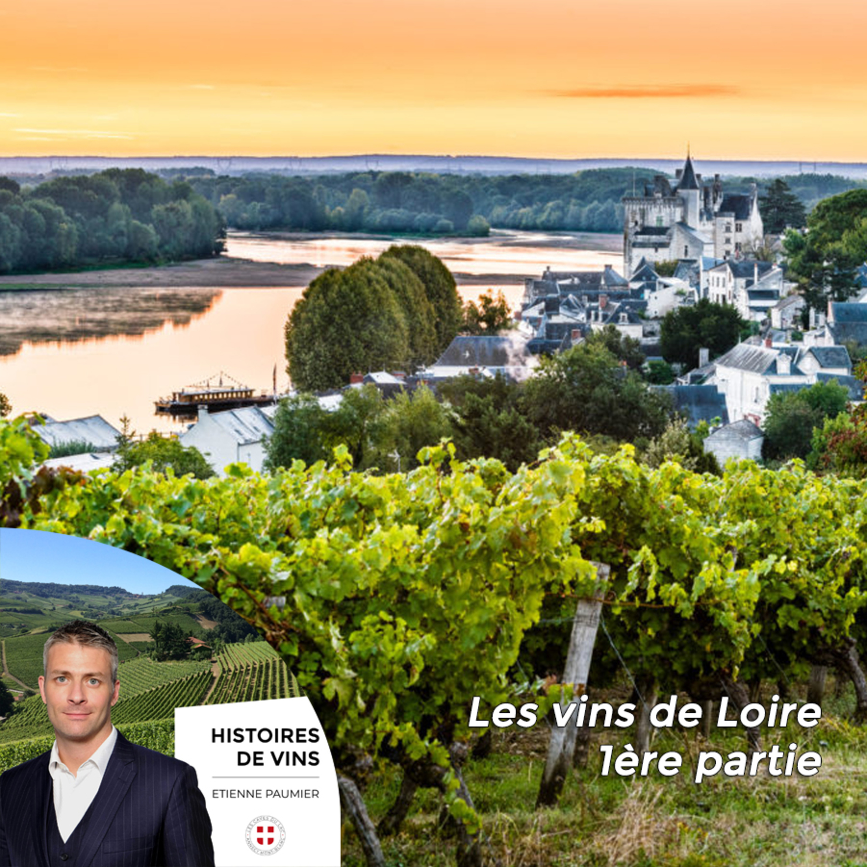 Histoires de vins